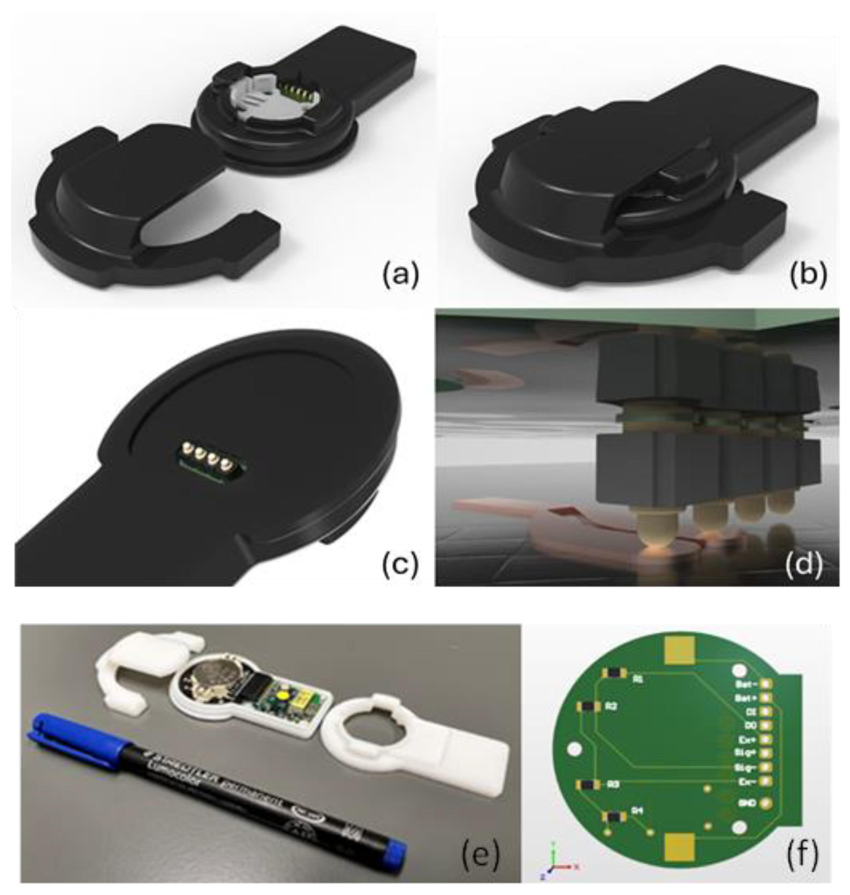 Preprints 118816 g002