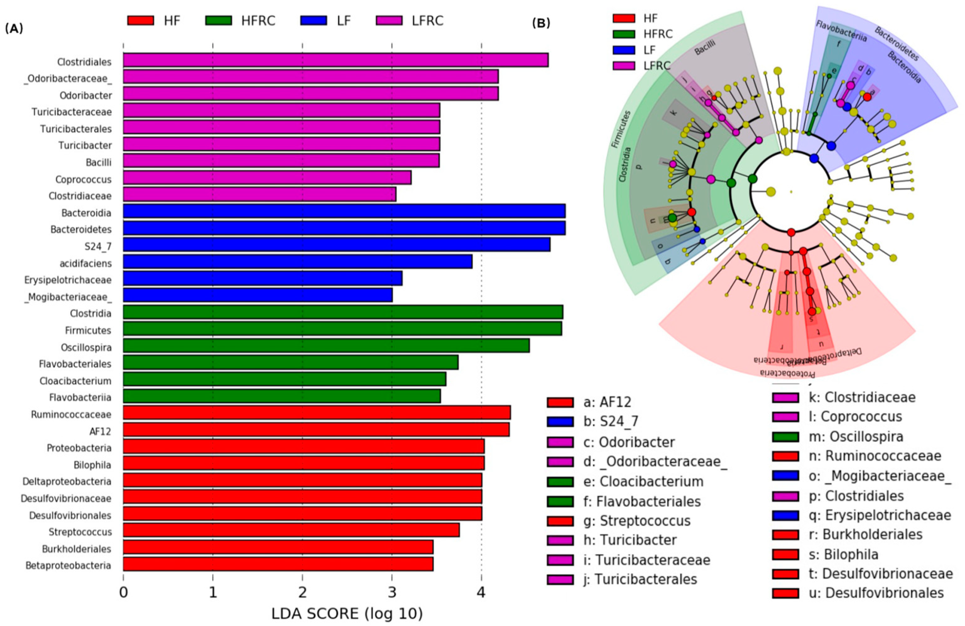 Preprints 93906 g005