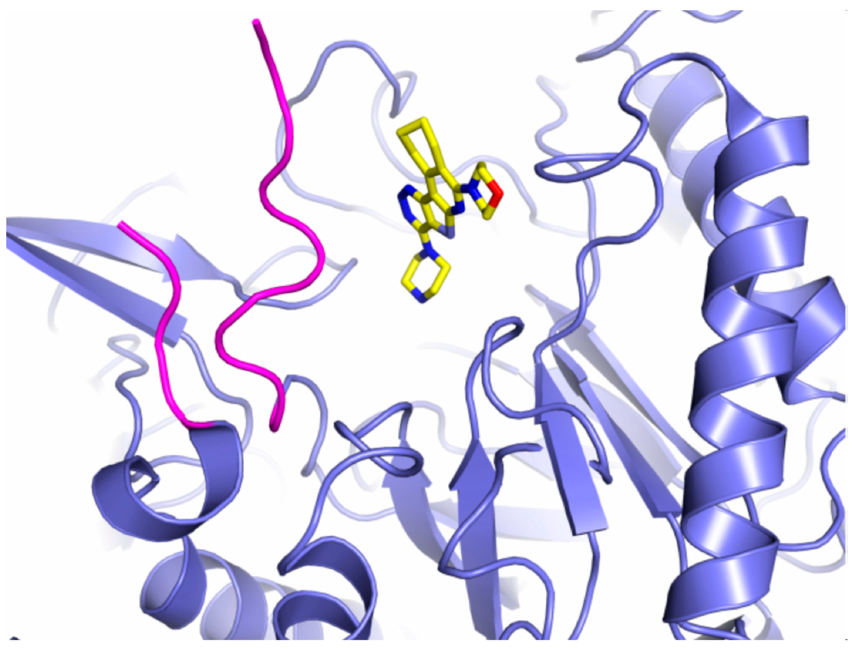 Preprints 79408 g004