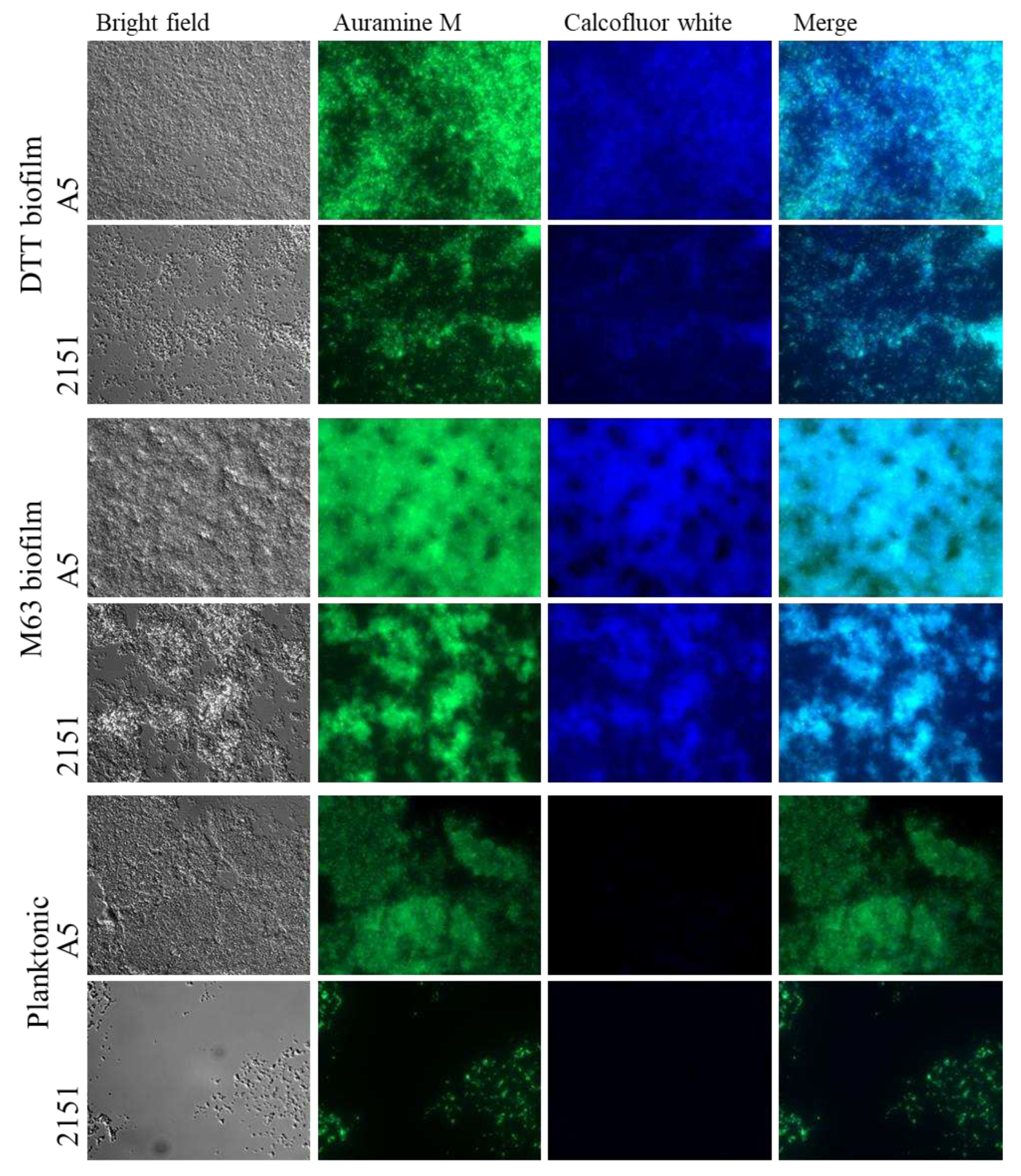 Preprints 85468 g002