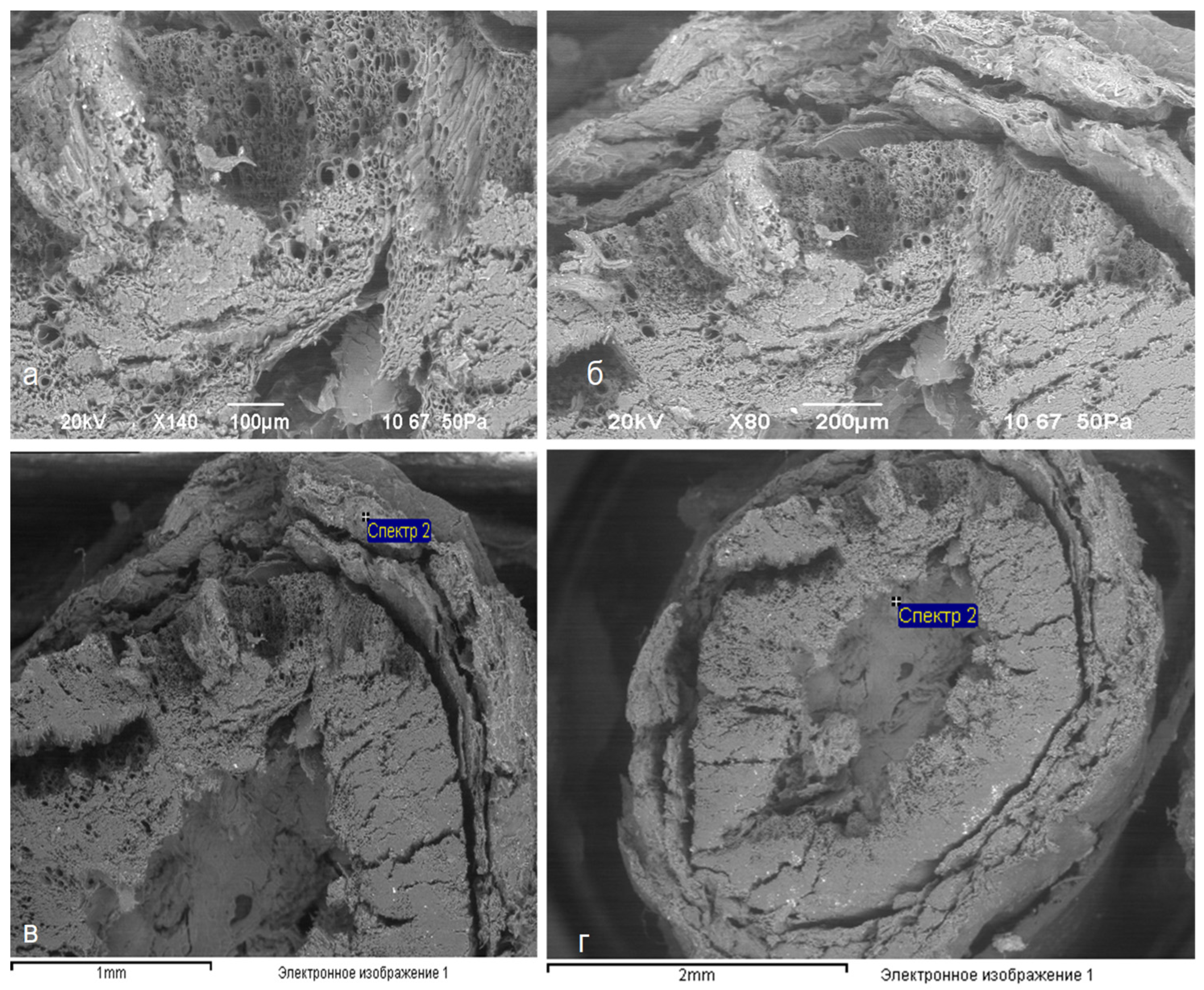 Preprints 97686 g007