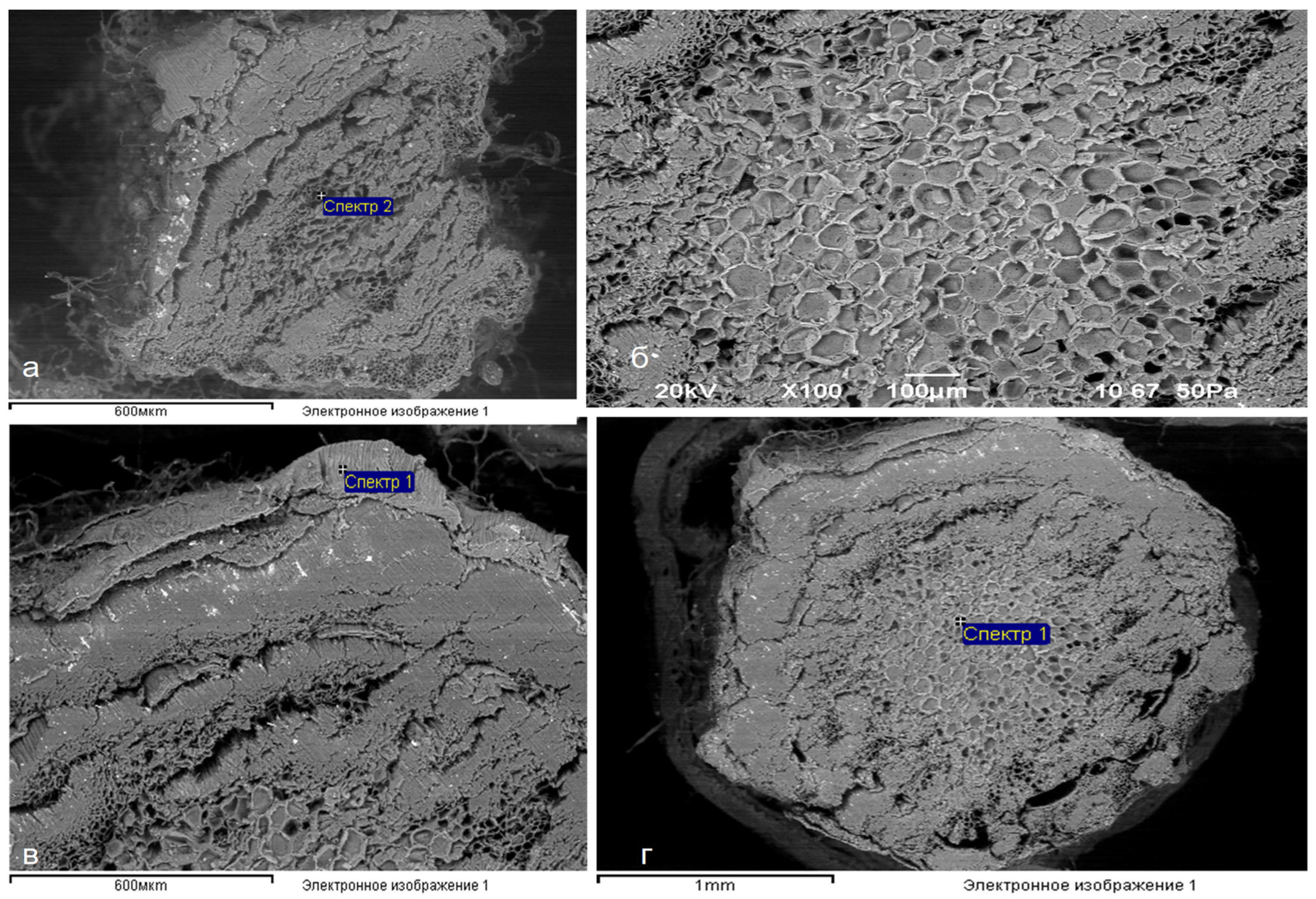 Preprints 97686 g008