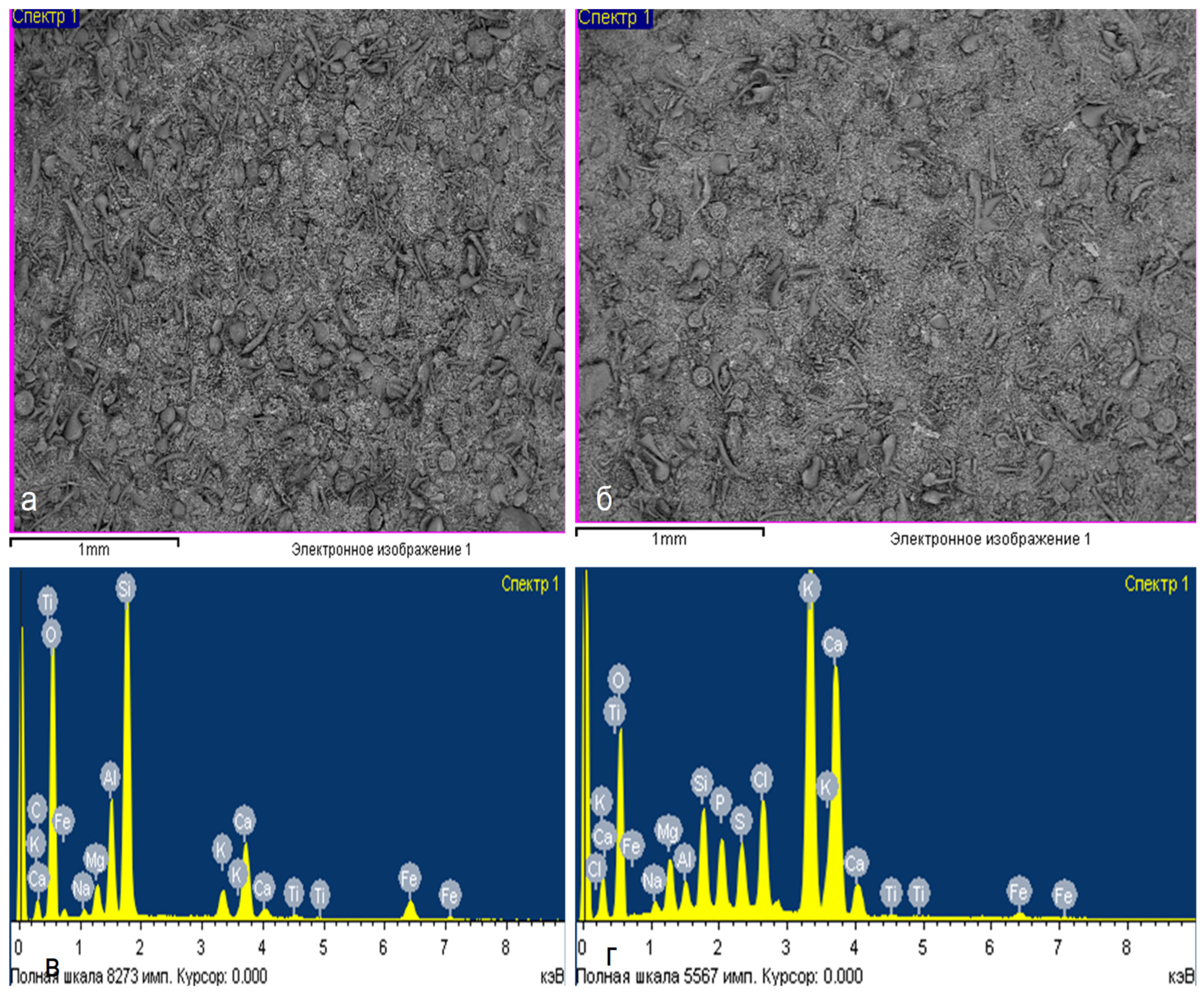 Preprints 97686 g010