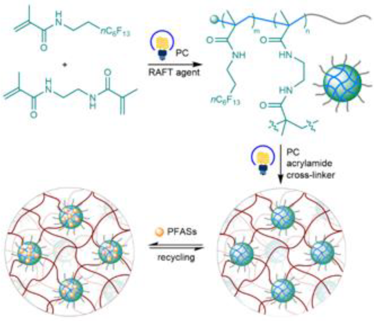 Preprints 84436 g004