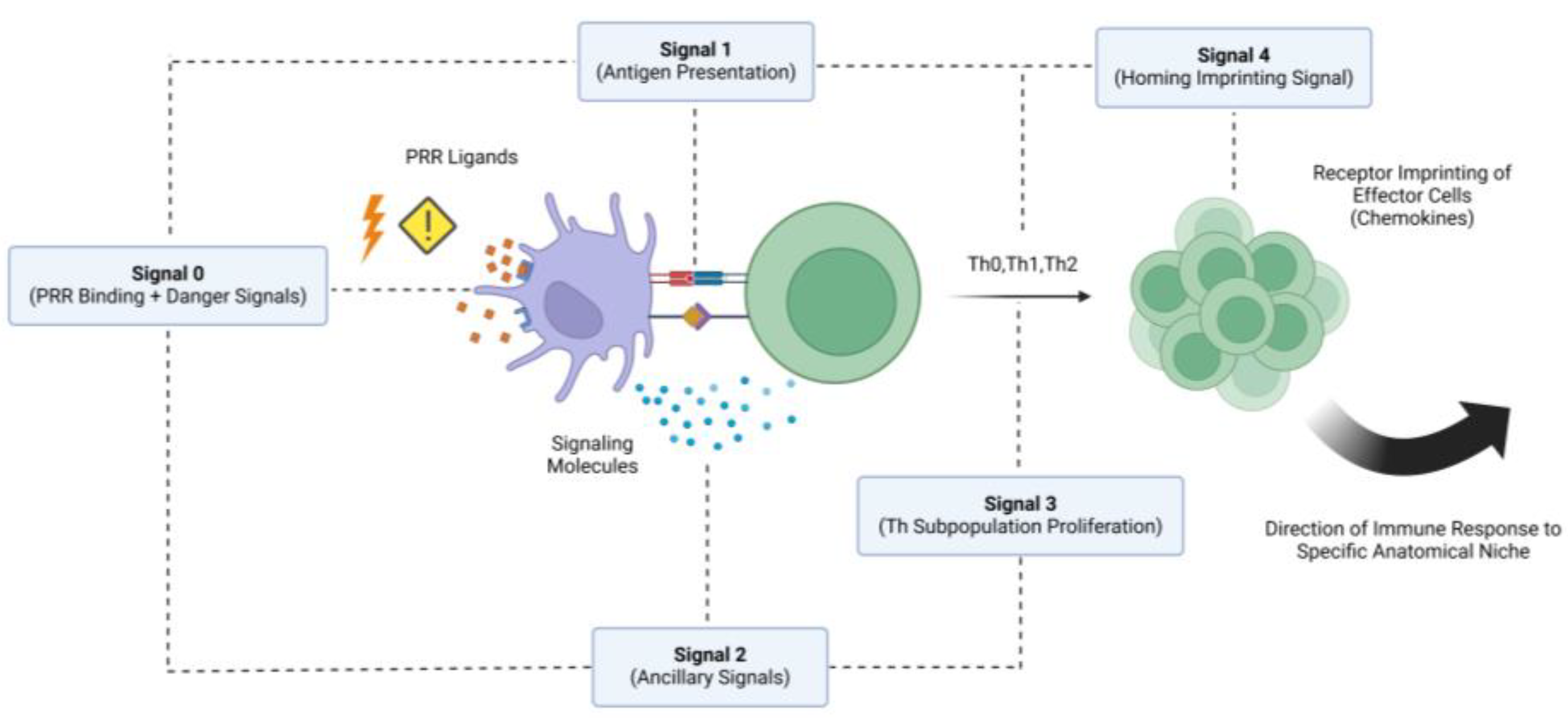 Preprints 138184 g001