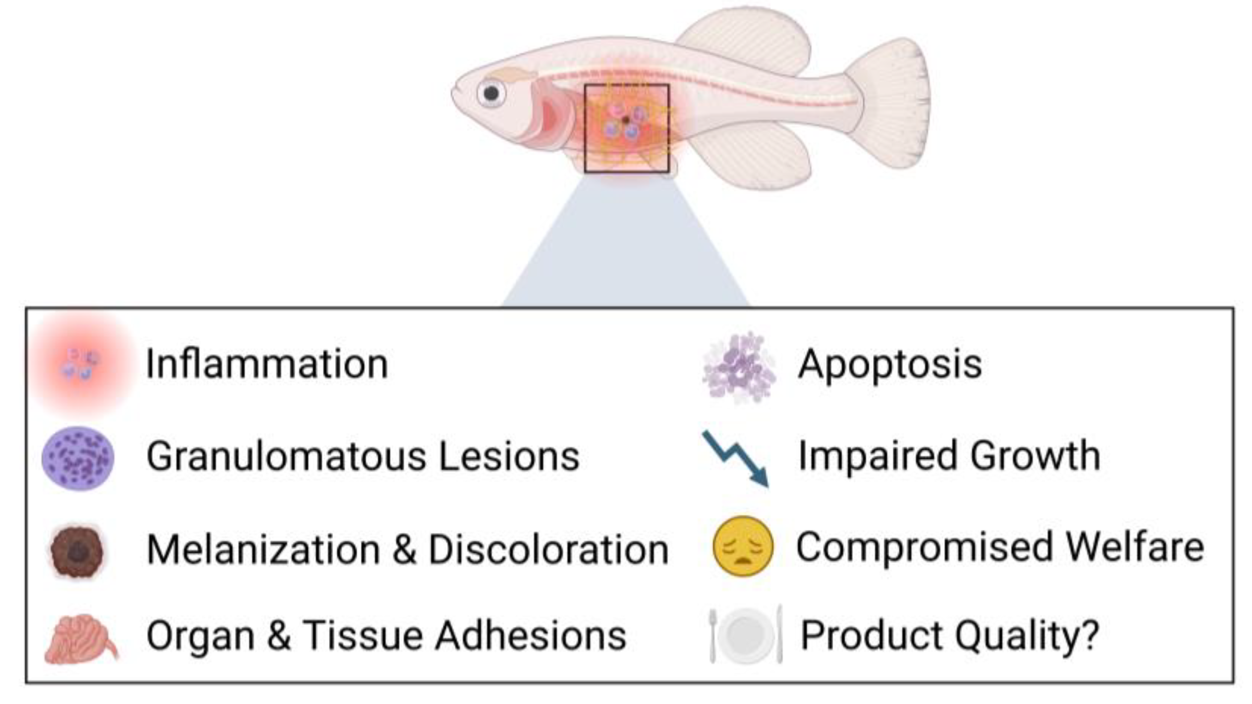 Preprints 138184 g003