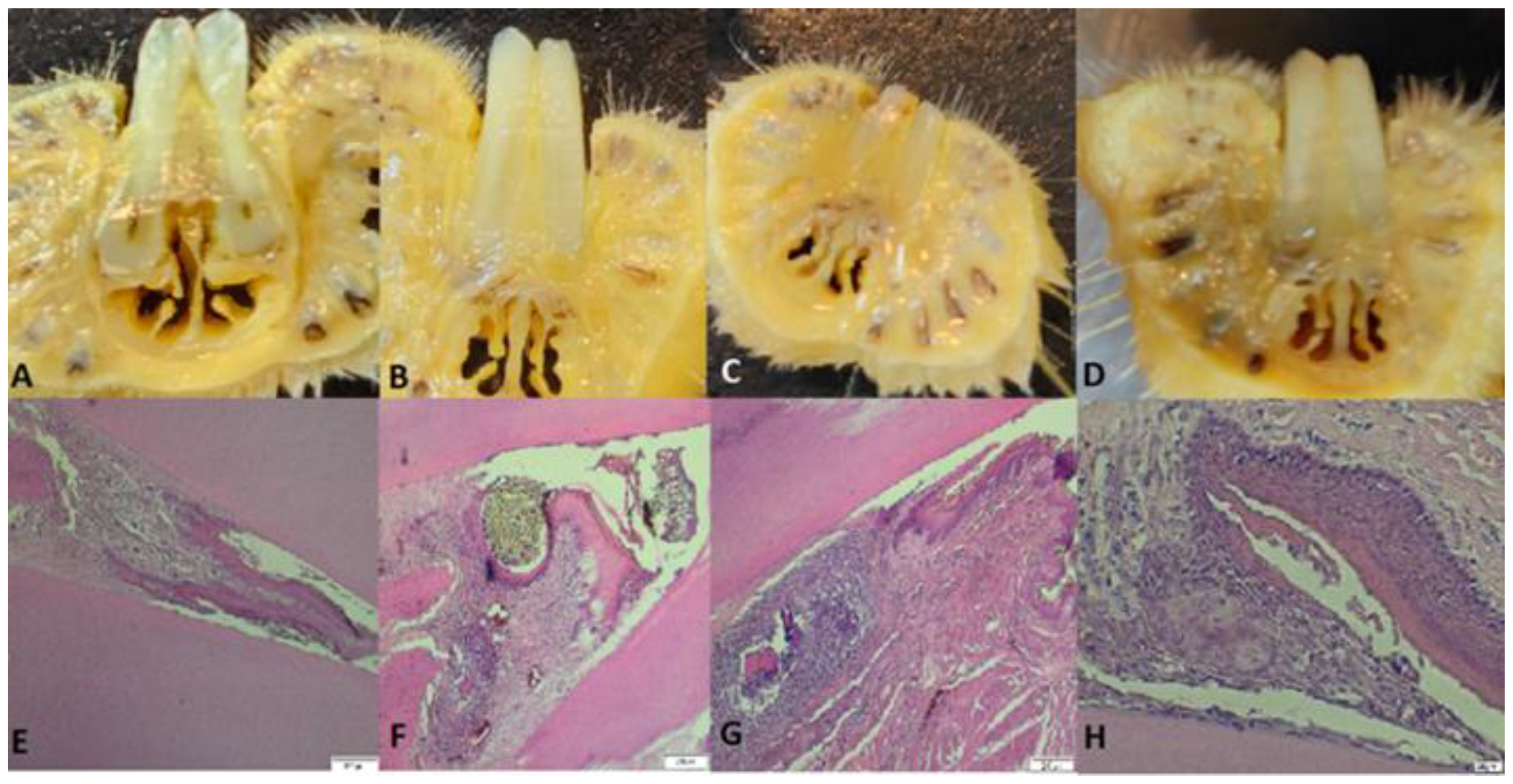 Preprints 76480 g005