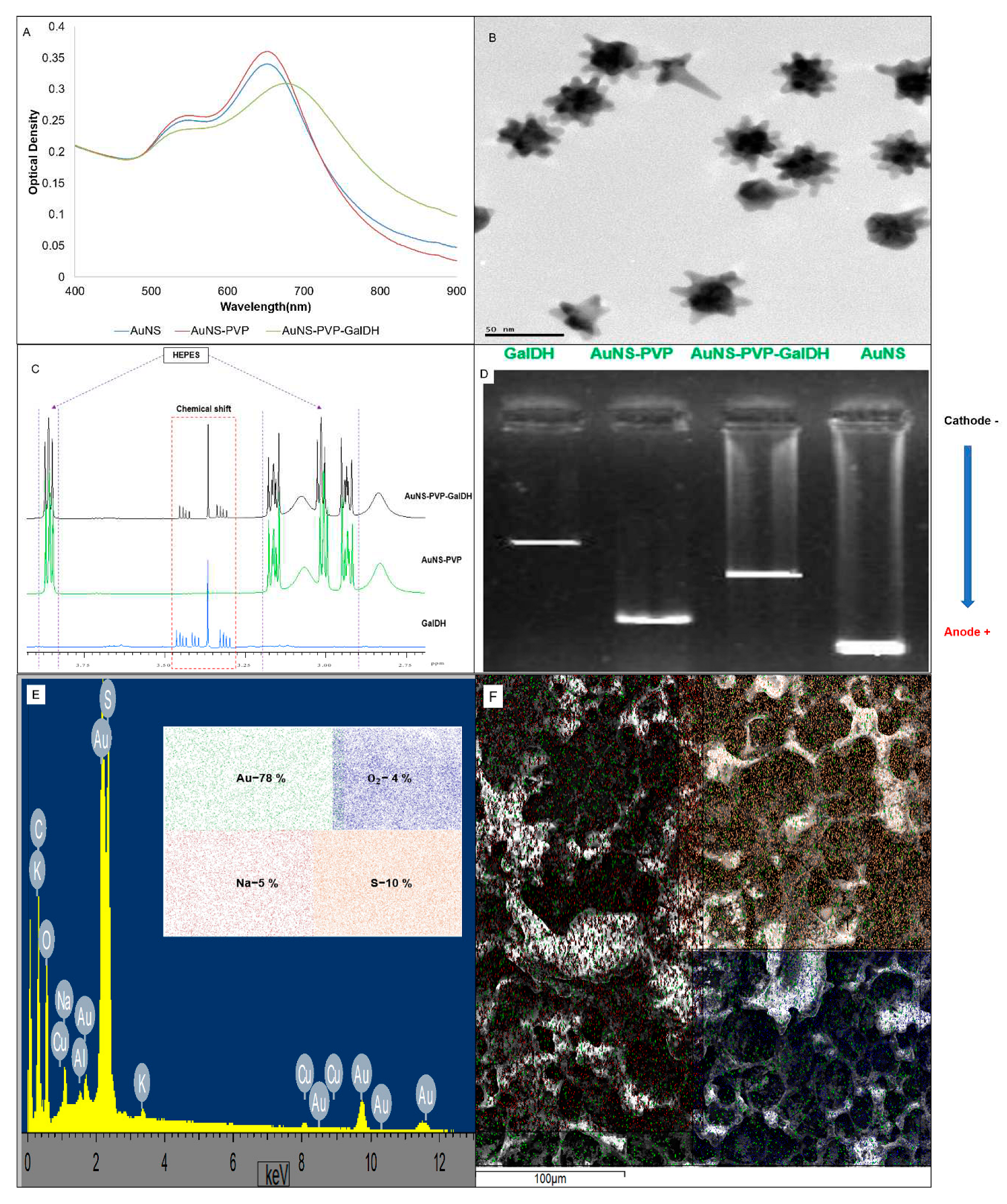 Preprints 87351 g001