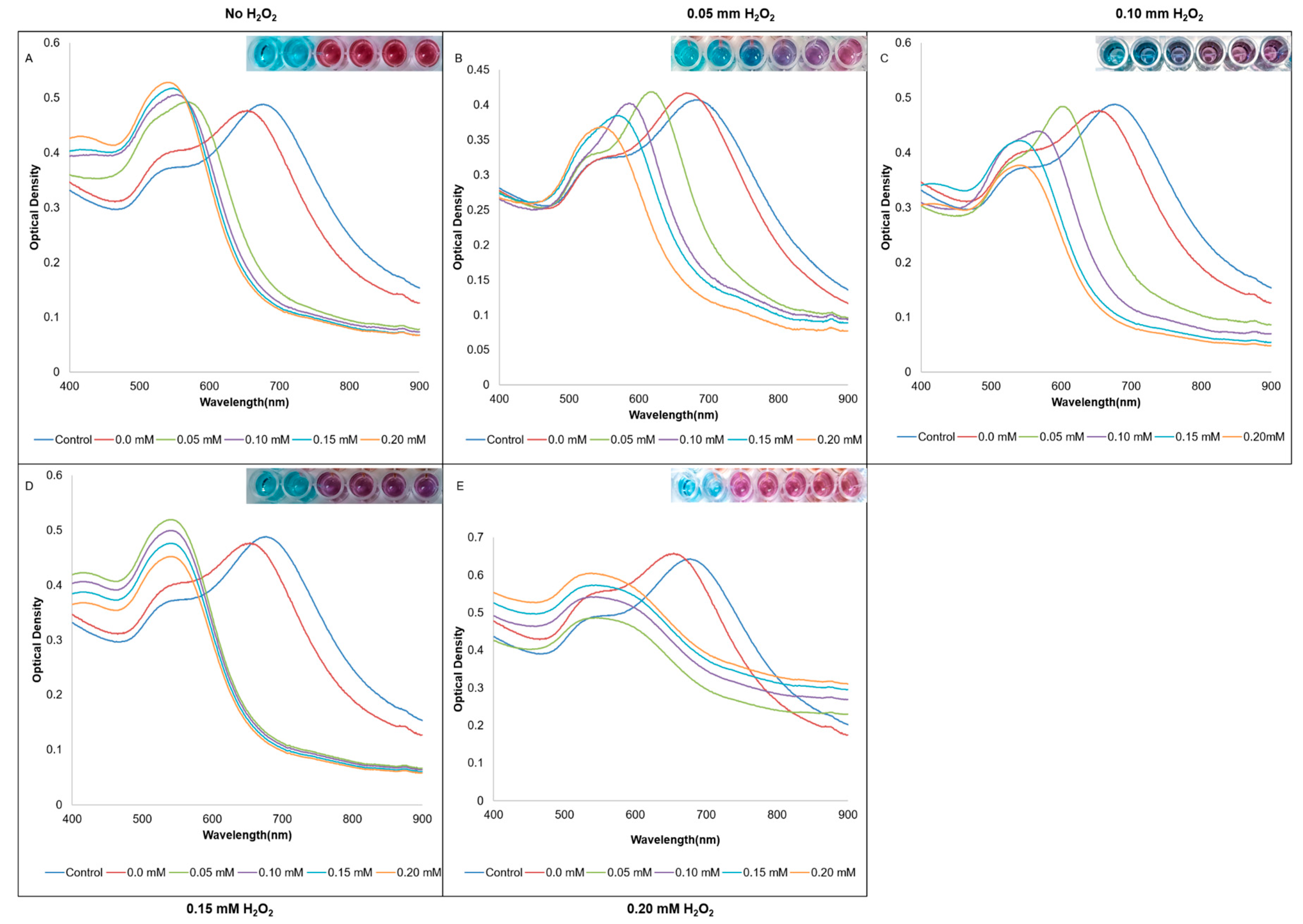 Preprints 87351 g002