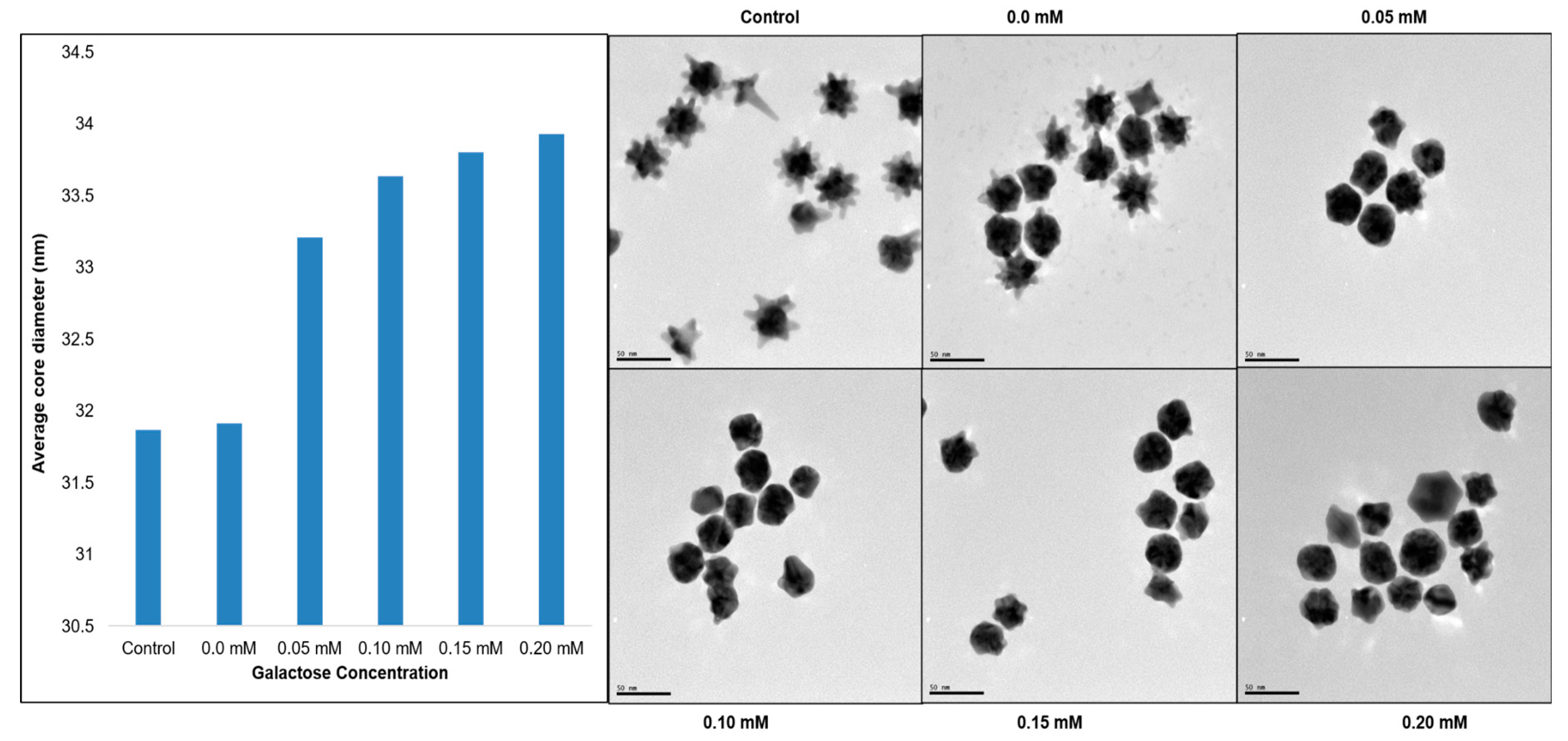 Preprints 87351 g004