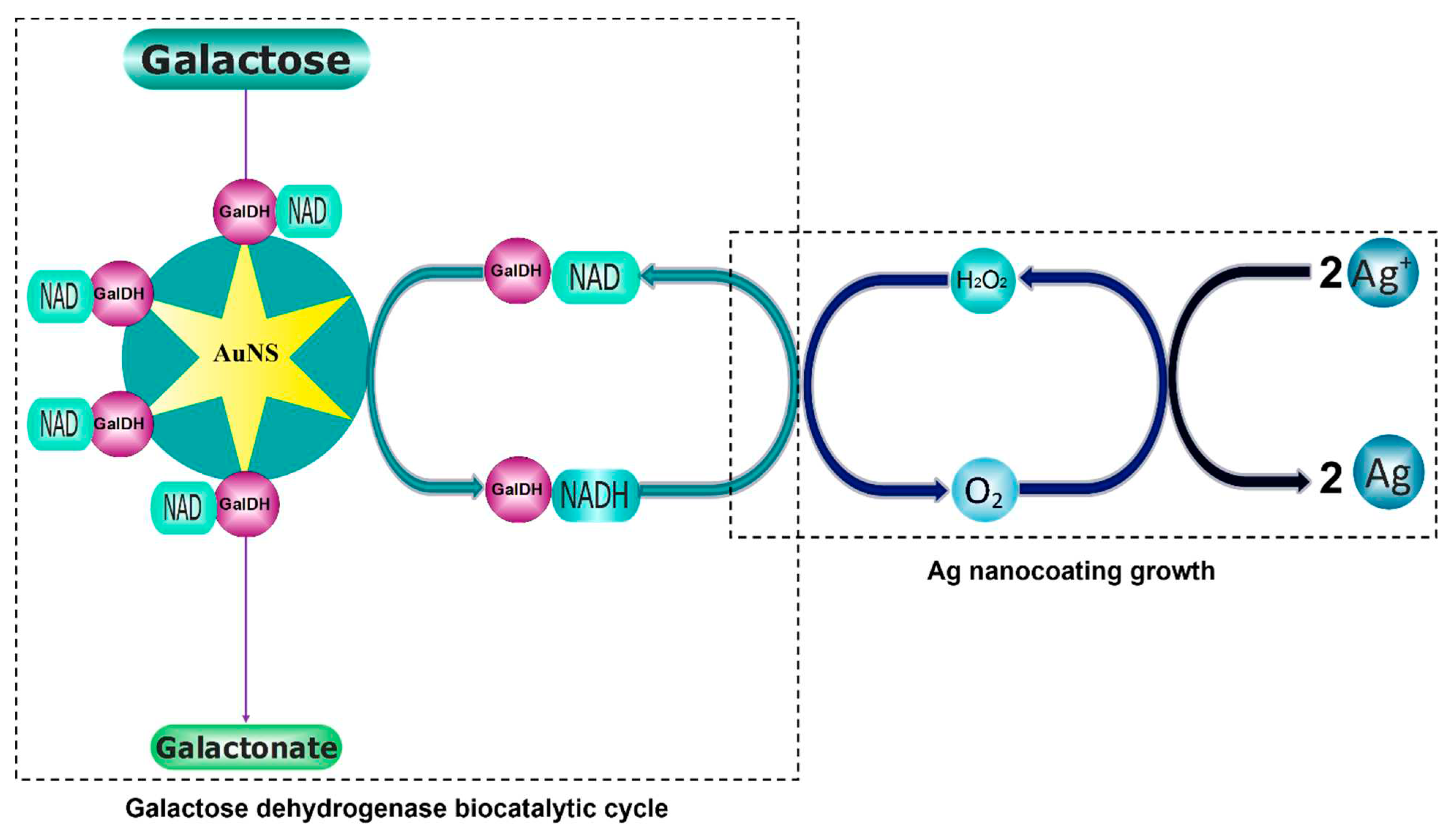 Preprints 87351 sch001