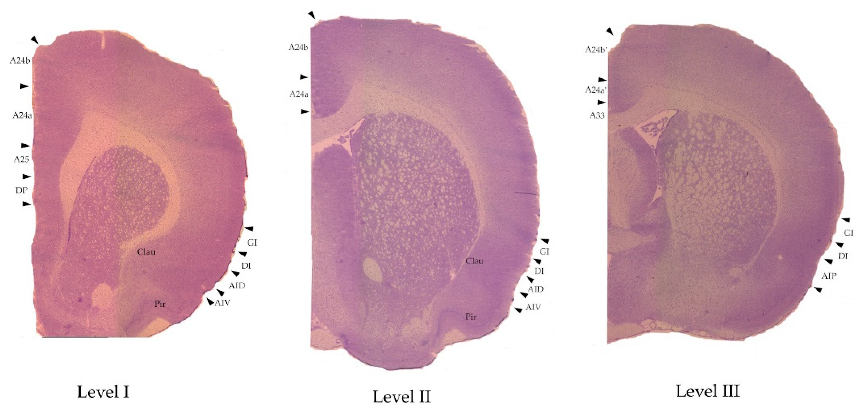 Preprints 85455 g002