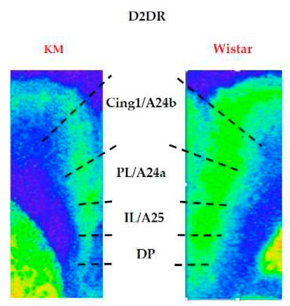 Preprints 85455 g006