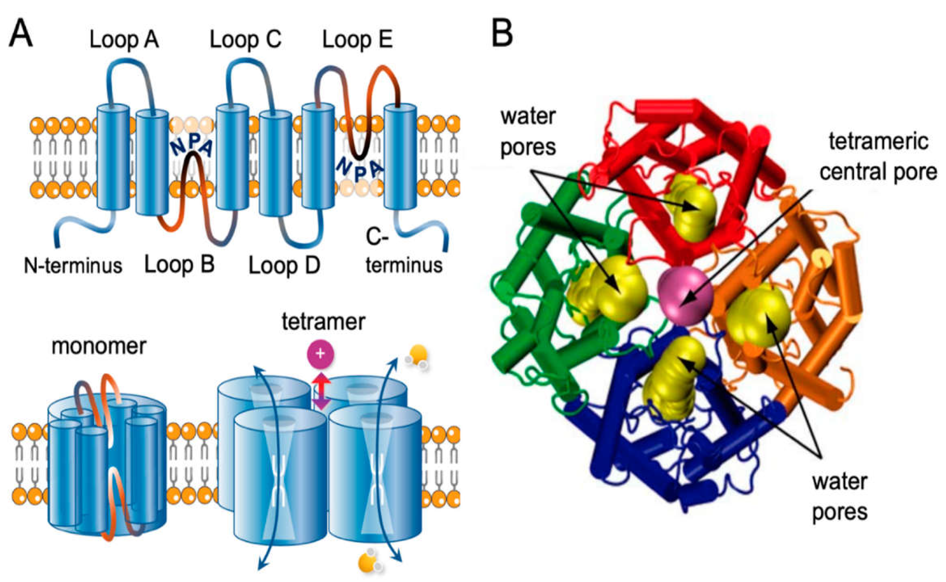 Preprints 78110 g001