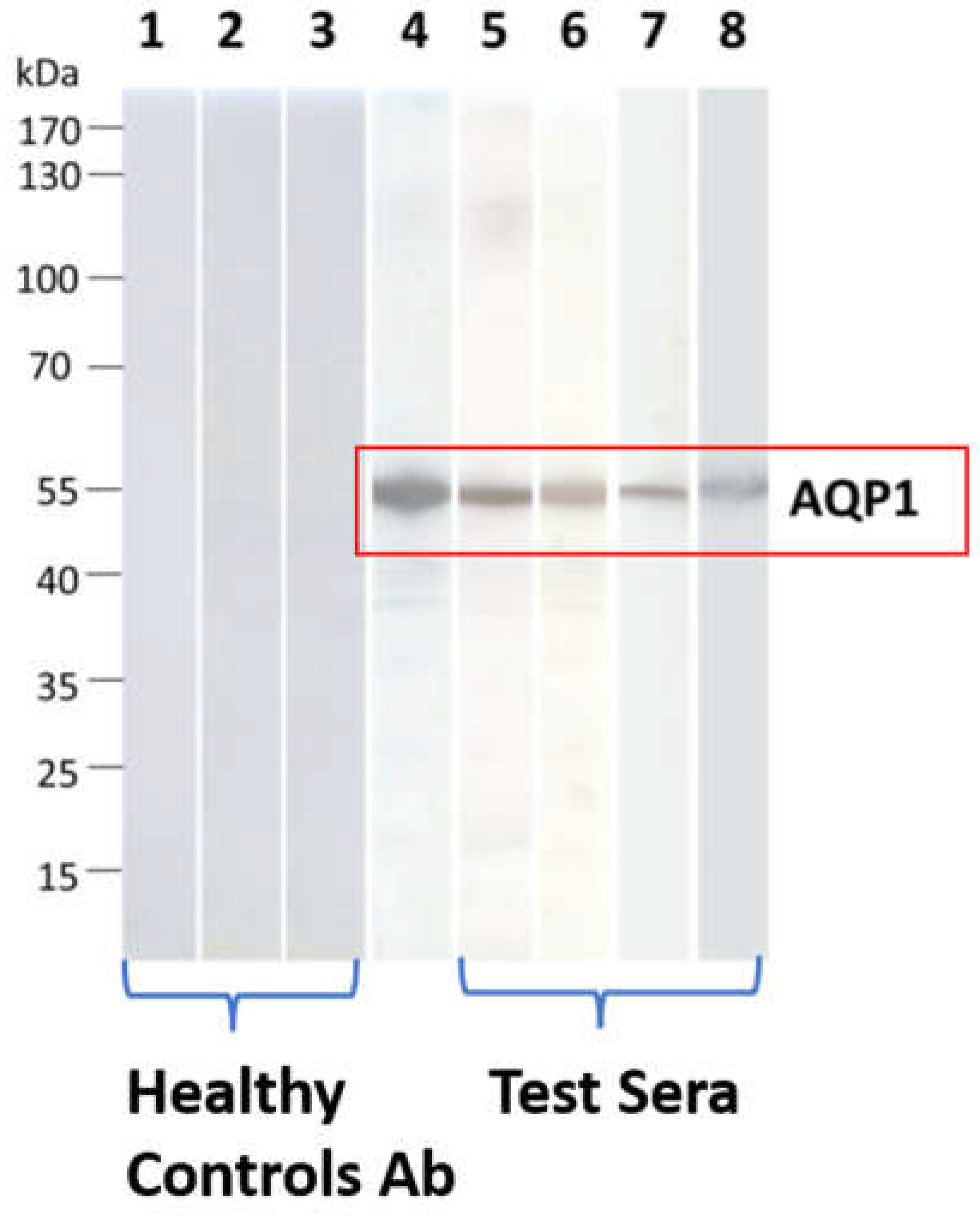 Preprints 78110 g003