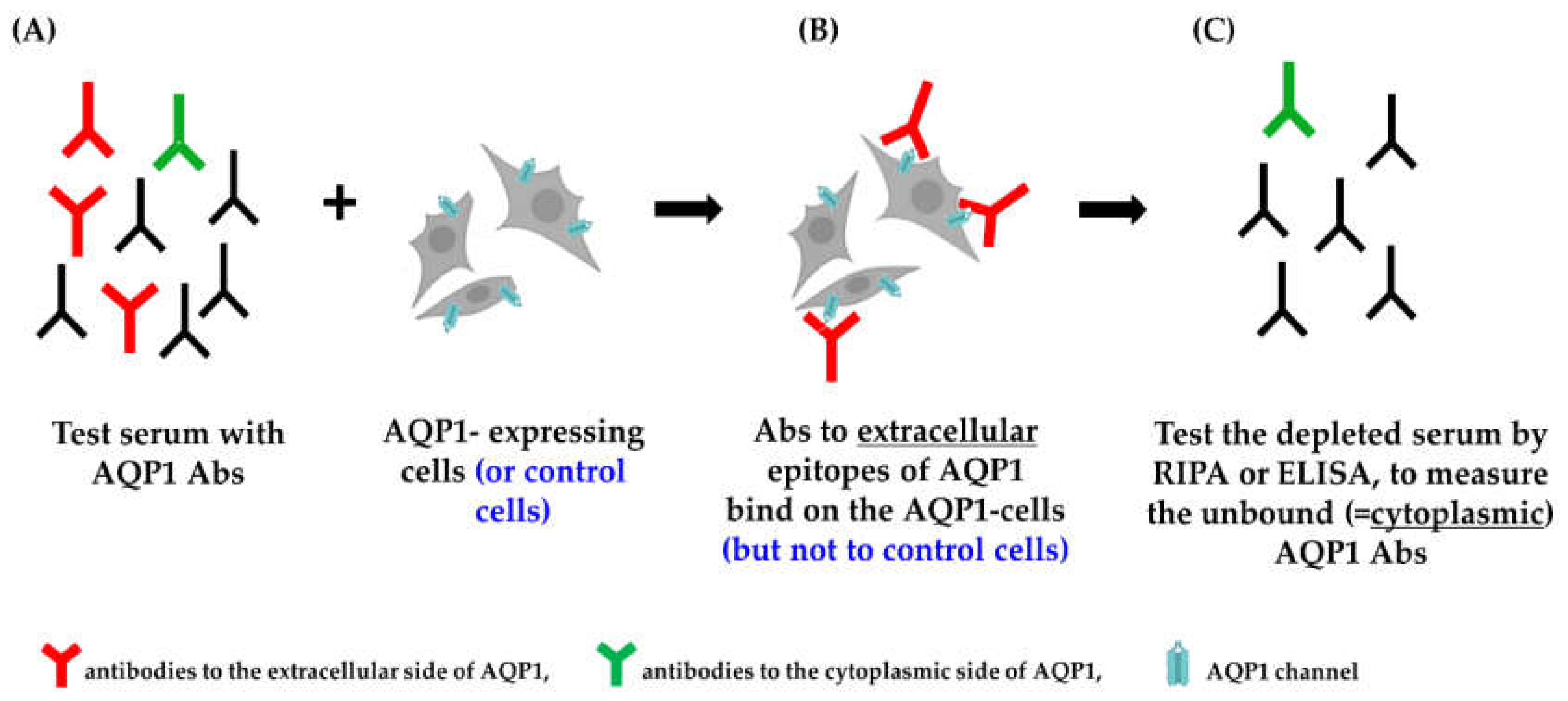 Preprints 78110 g004