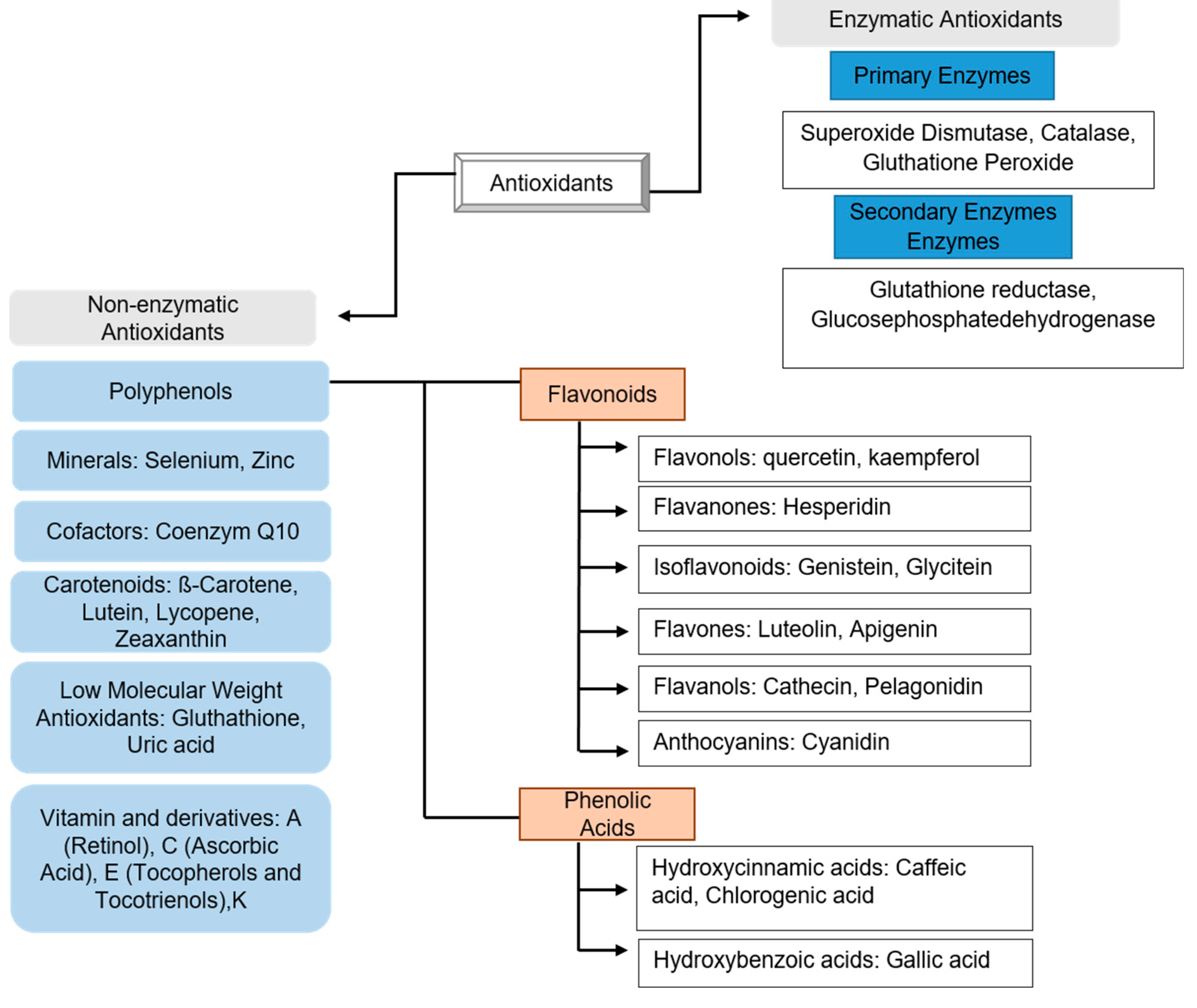 Preprints 80672 g001