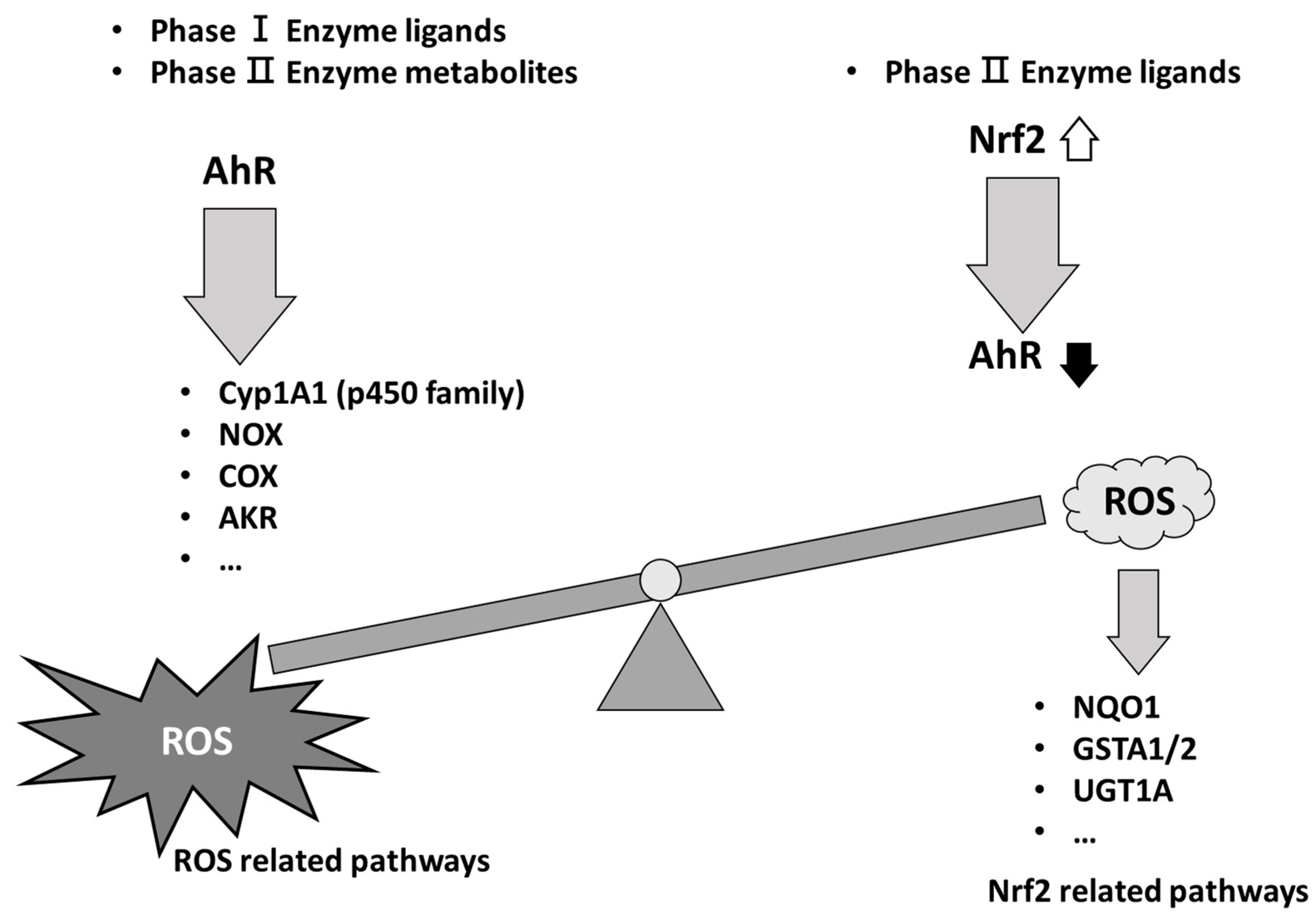 Preprints 117584 g001