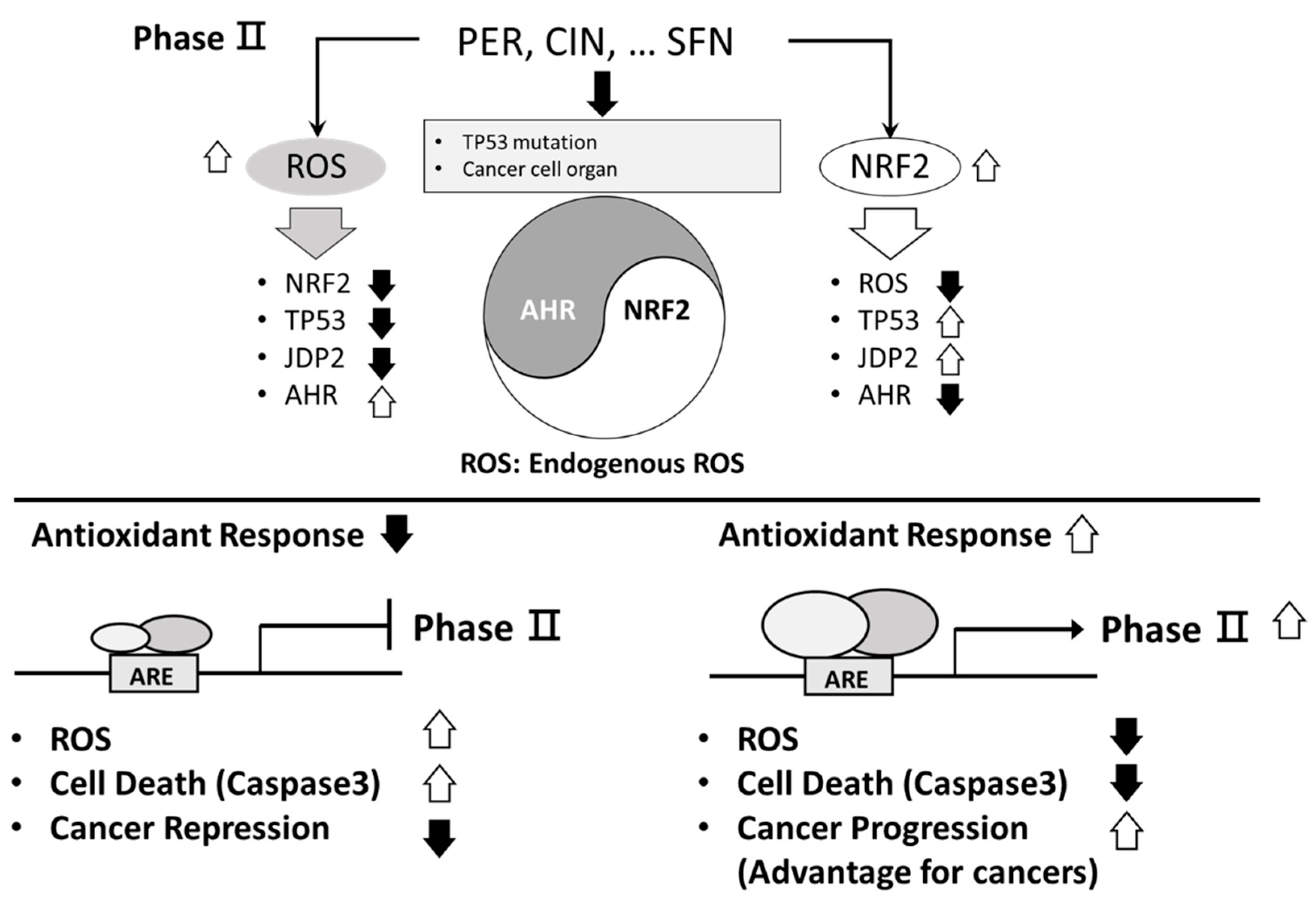 Preprints 117584 g002