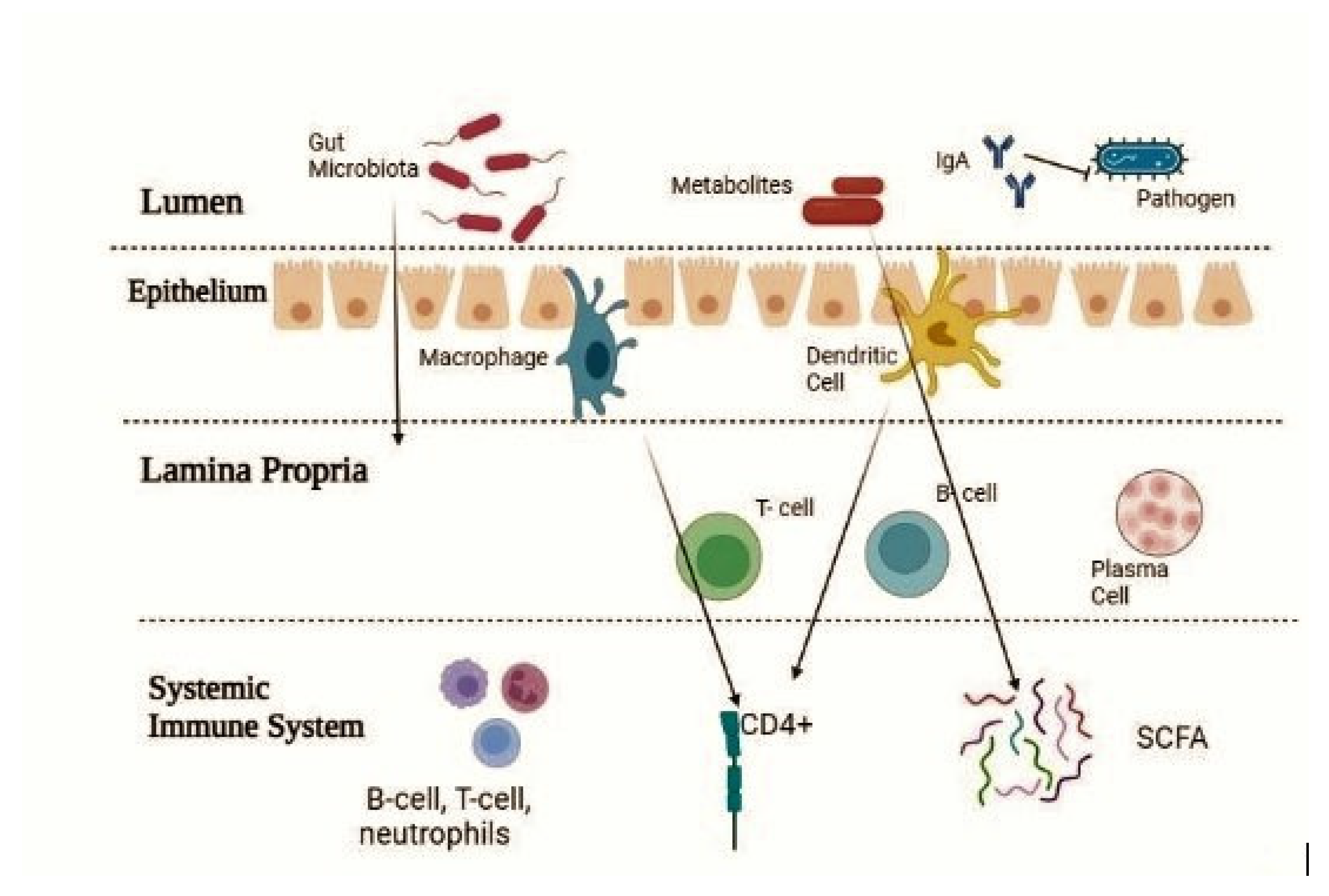 Preprints 114227 g002