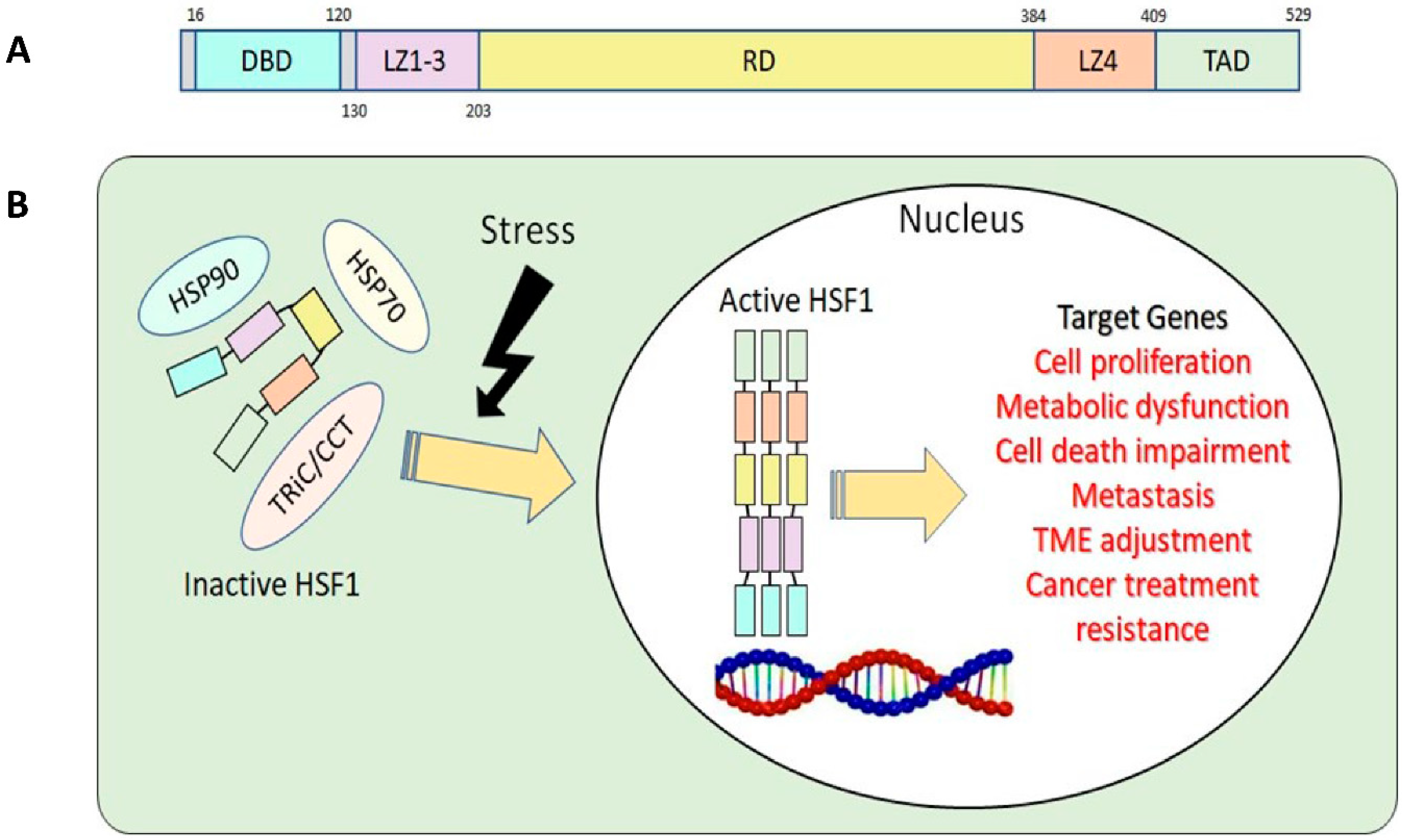 Preprints 88276 g001