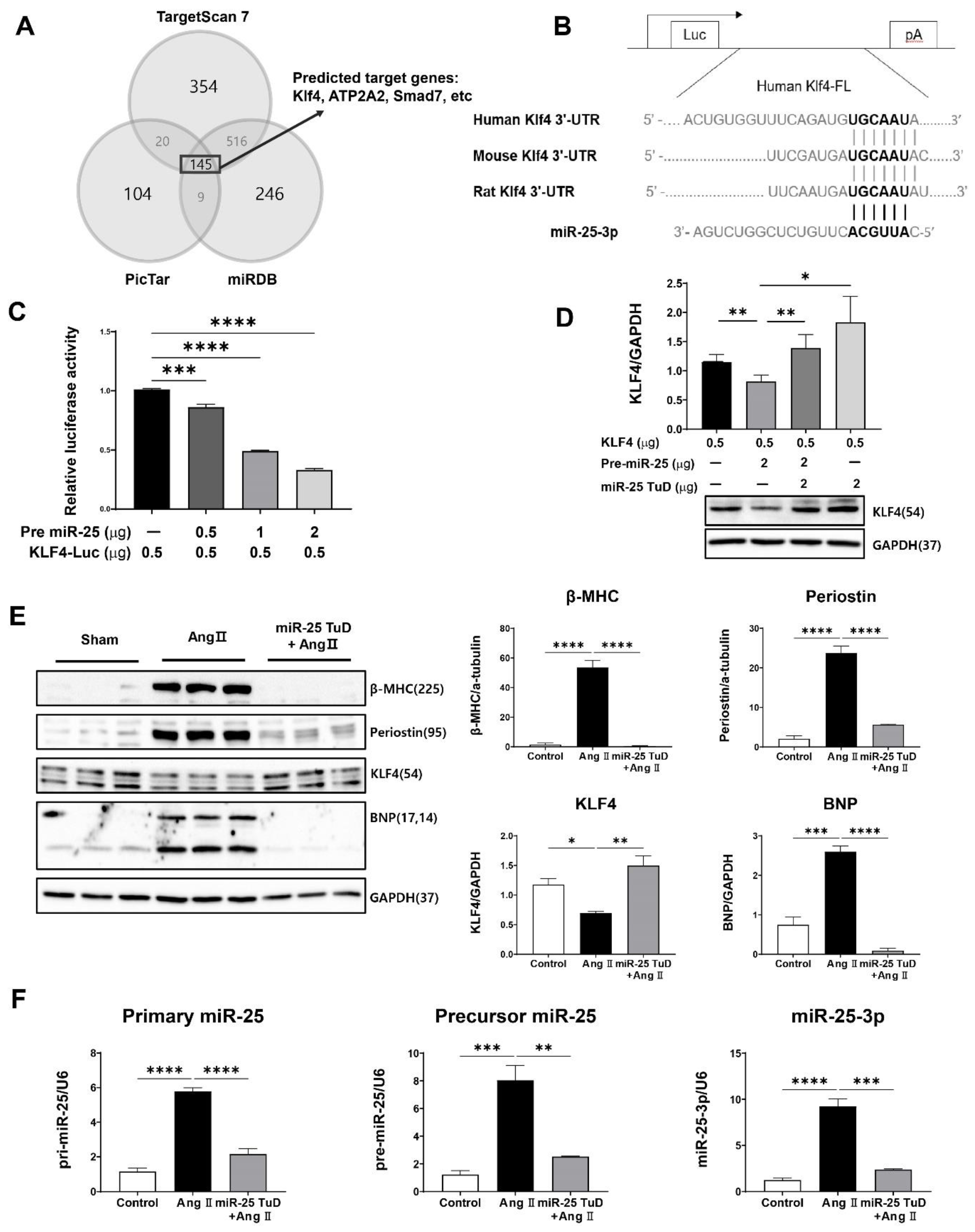 Preprints 78964 g001