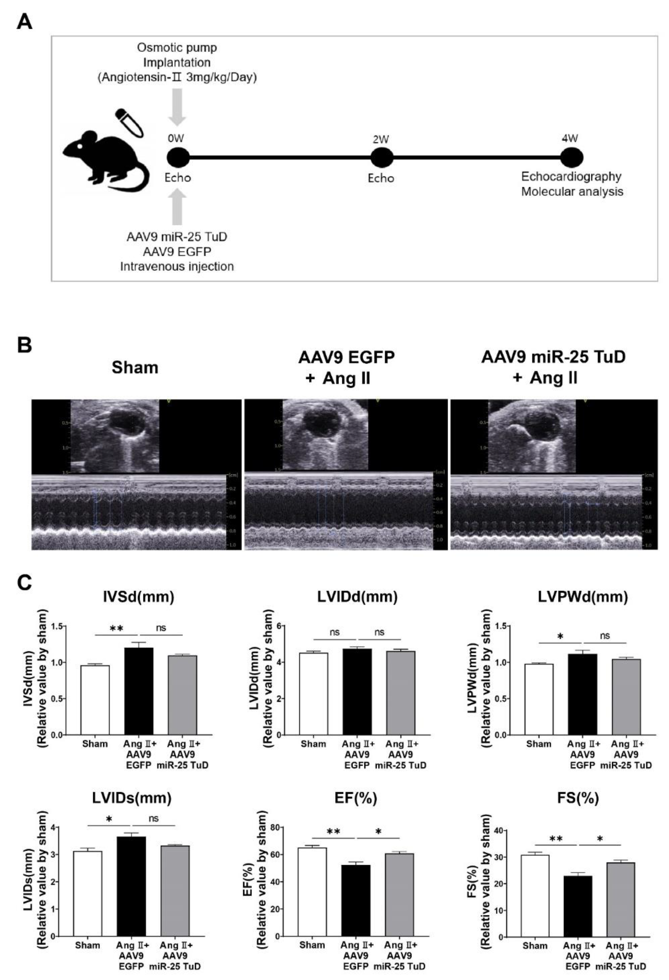 Preprints 78964 g002