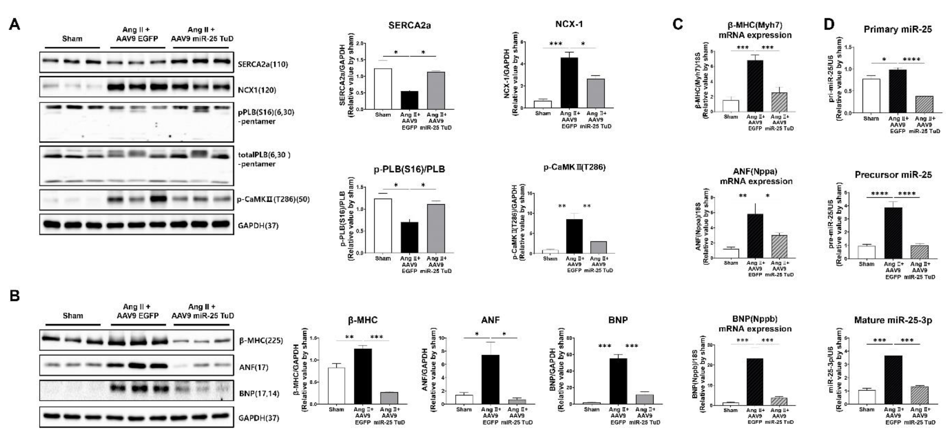 Preprints 78964 g003