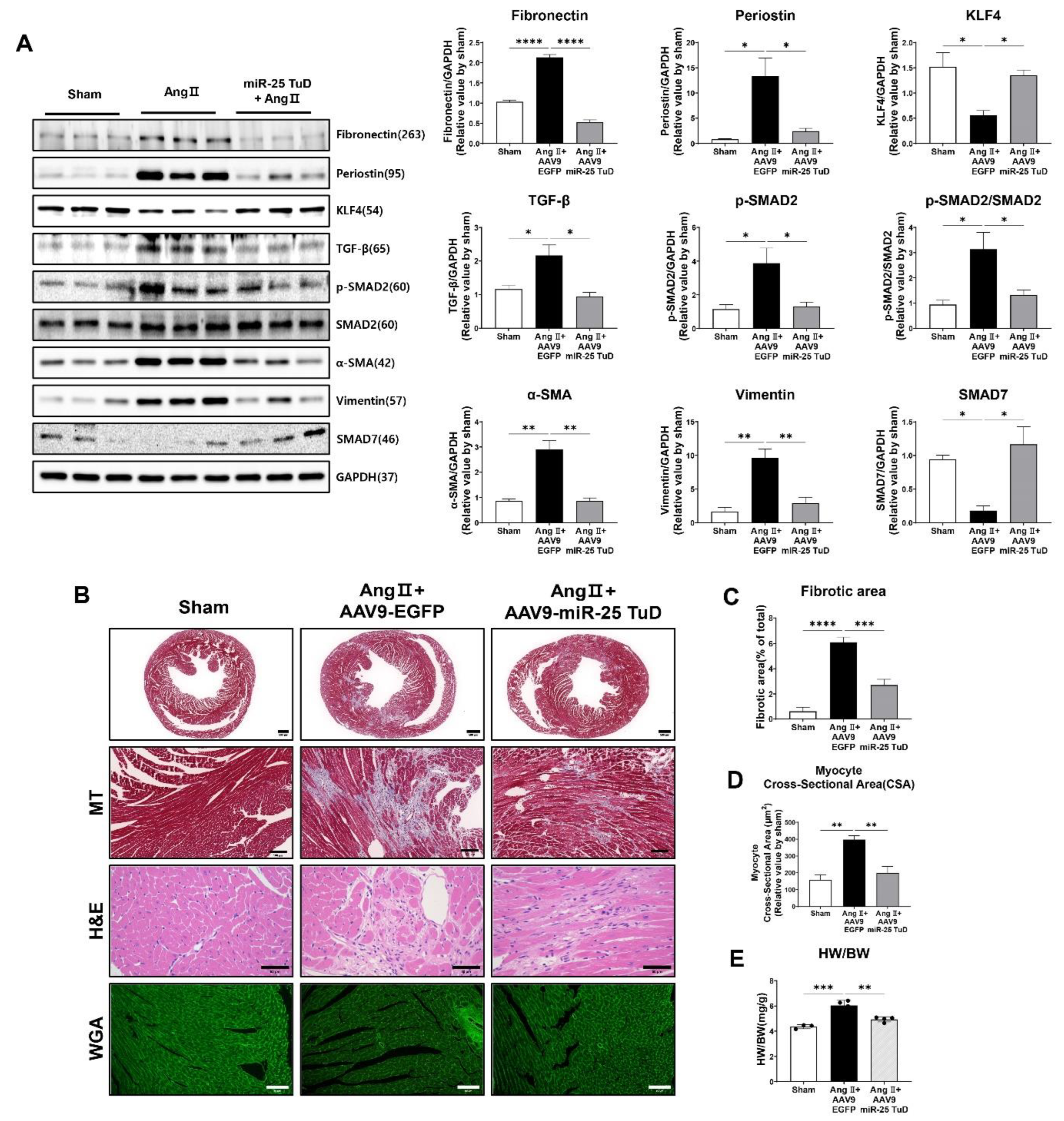 Preprints 78964 g004