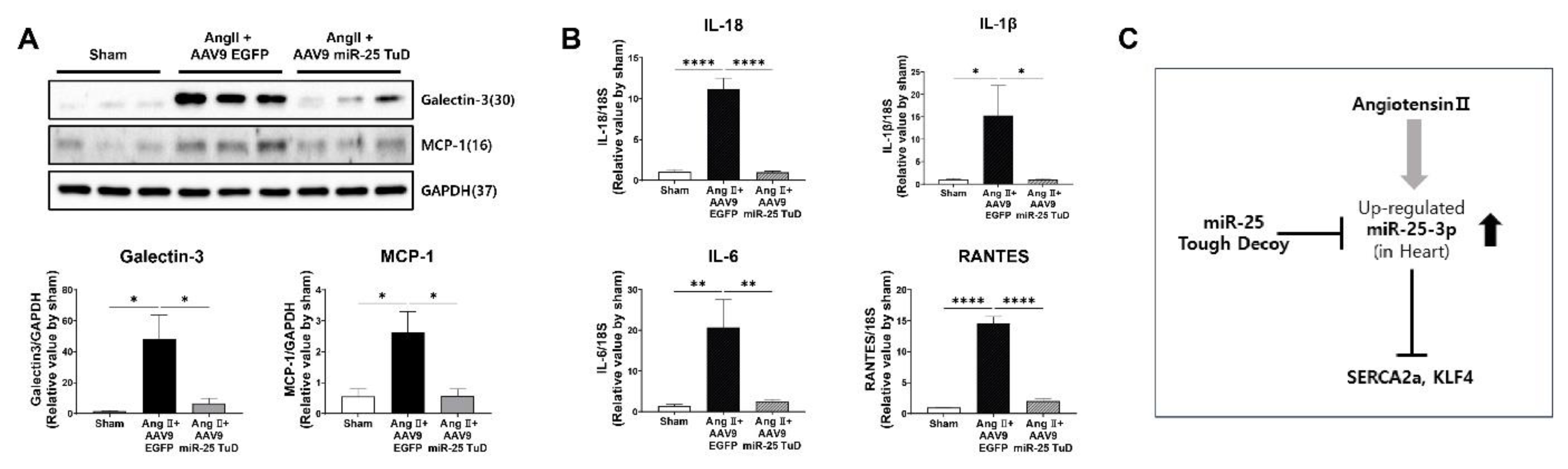 Preprints 78964 g005