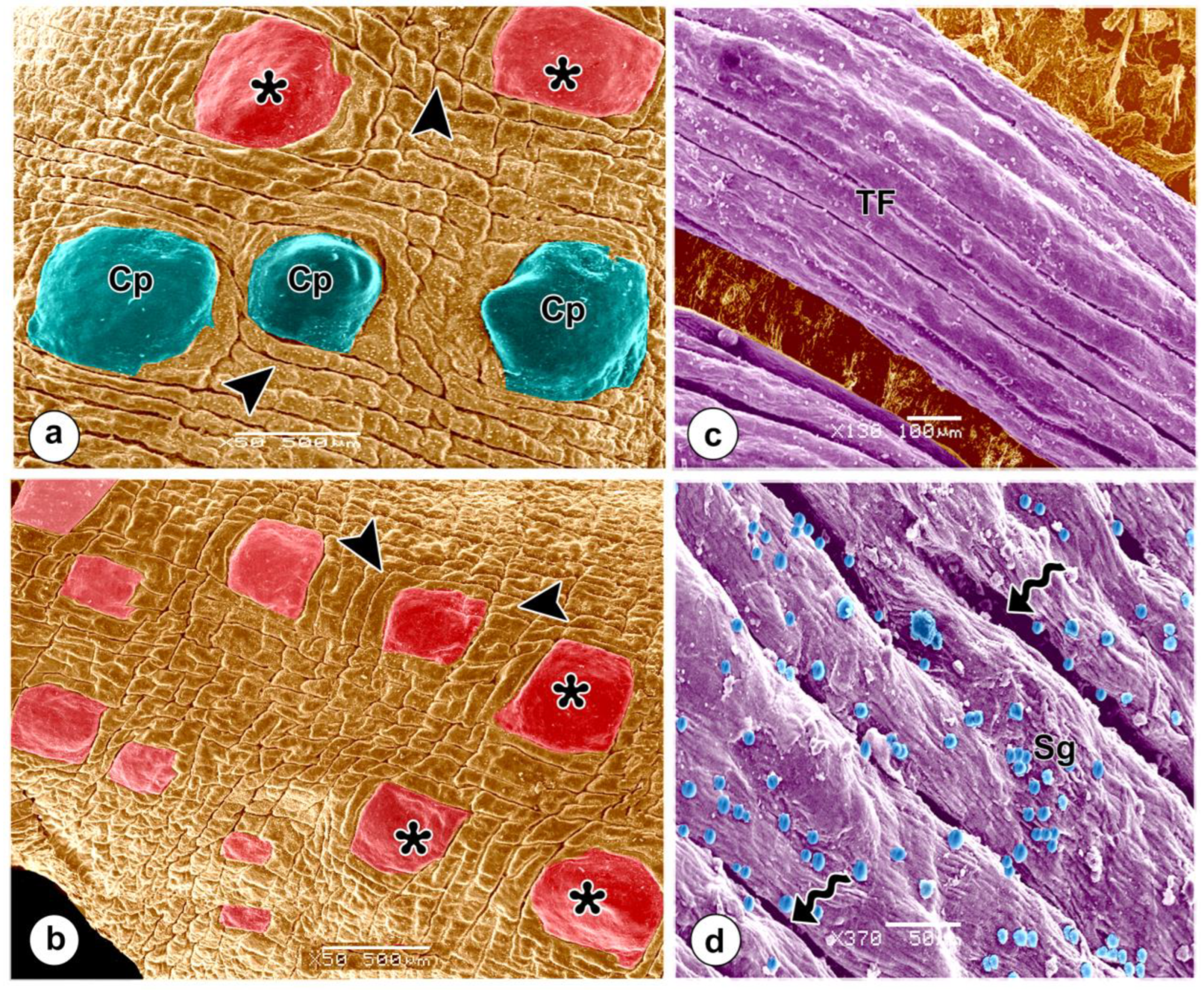 Preprints 76893 g005