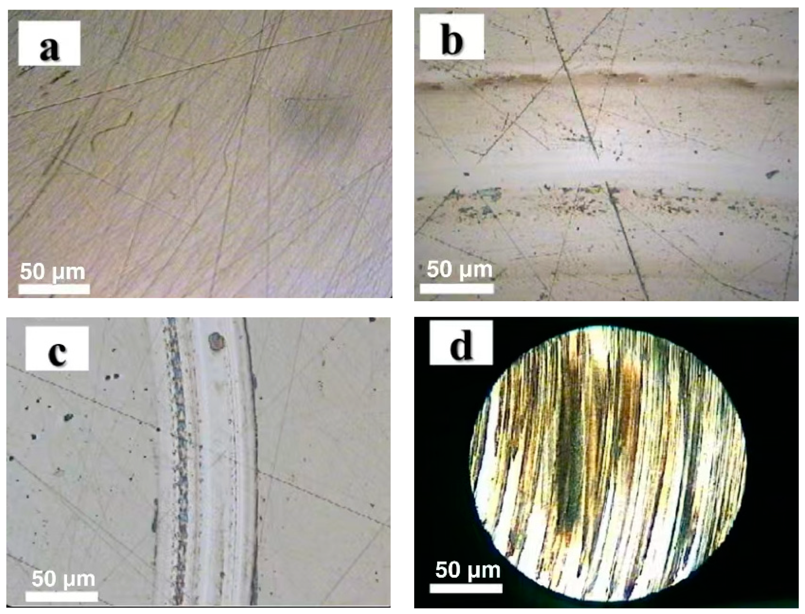 Preprints 82697 g007