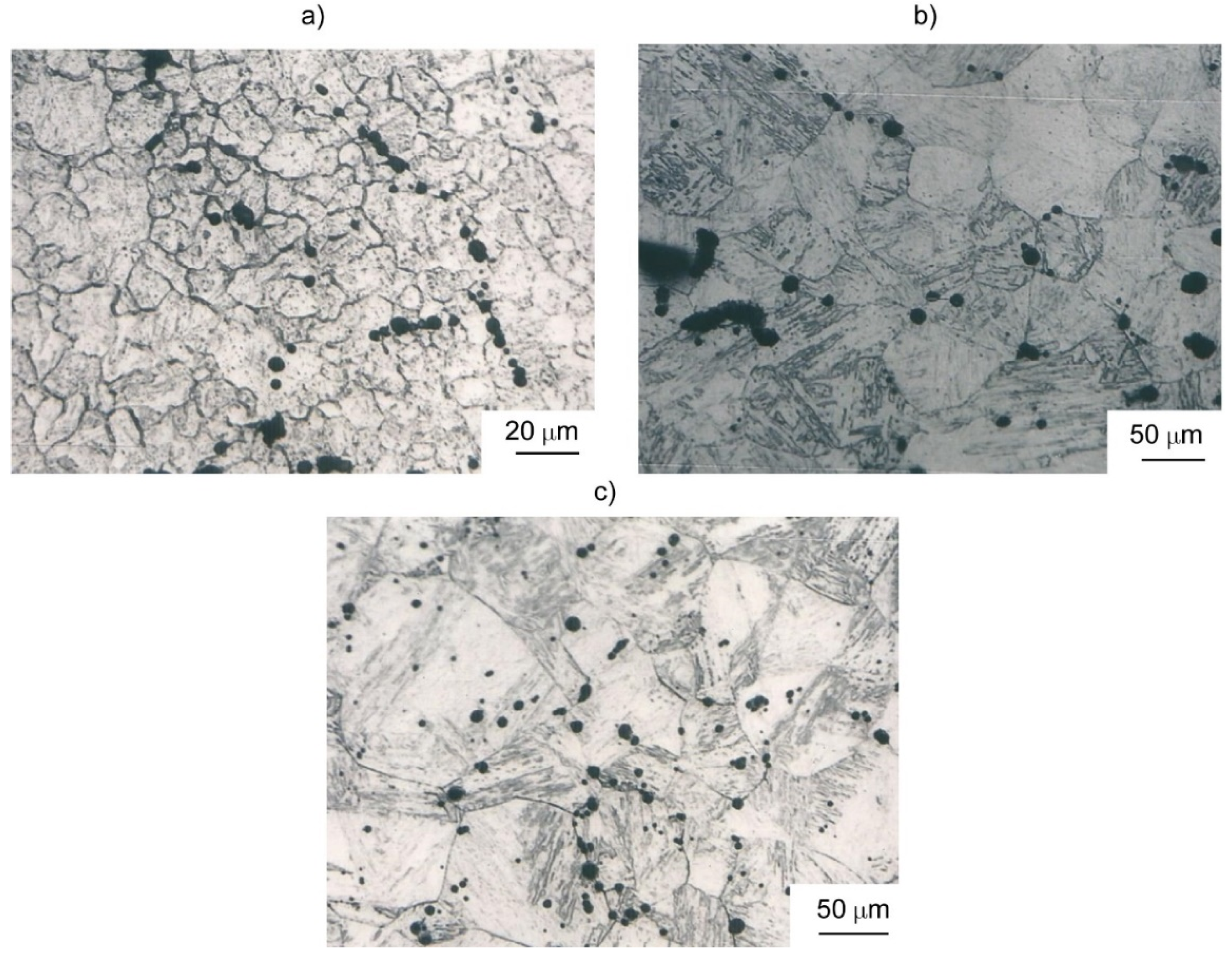 Preprints 97050 g001