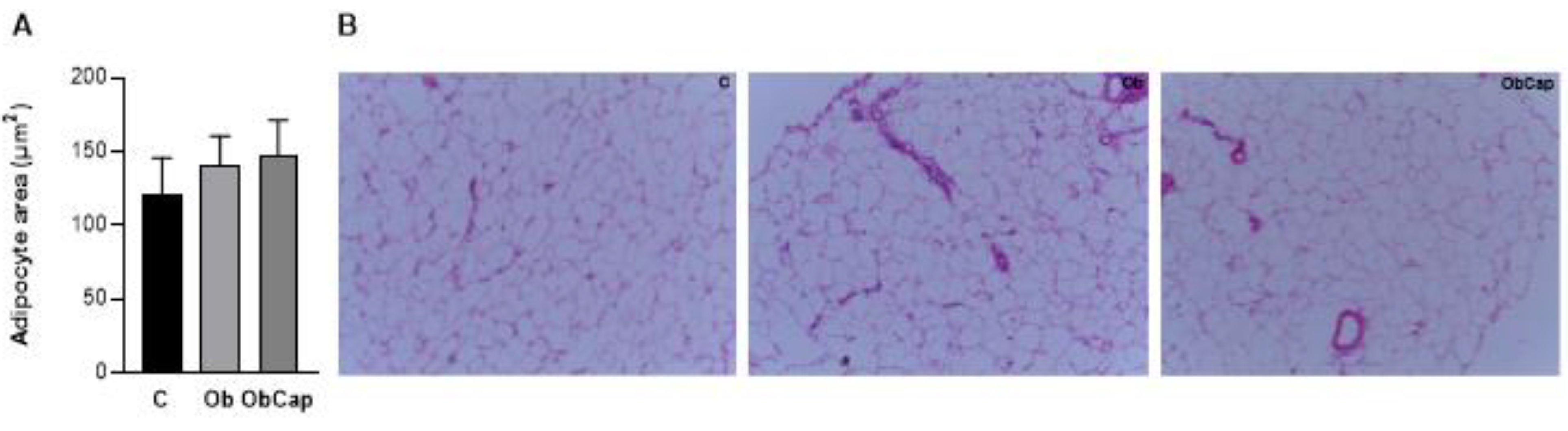 Preprints 112962 g004