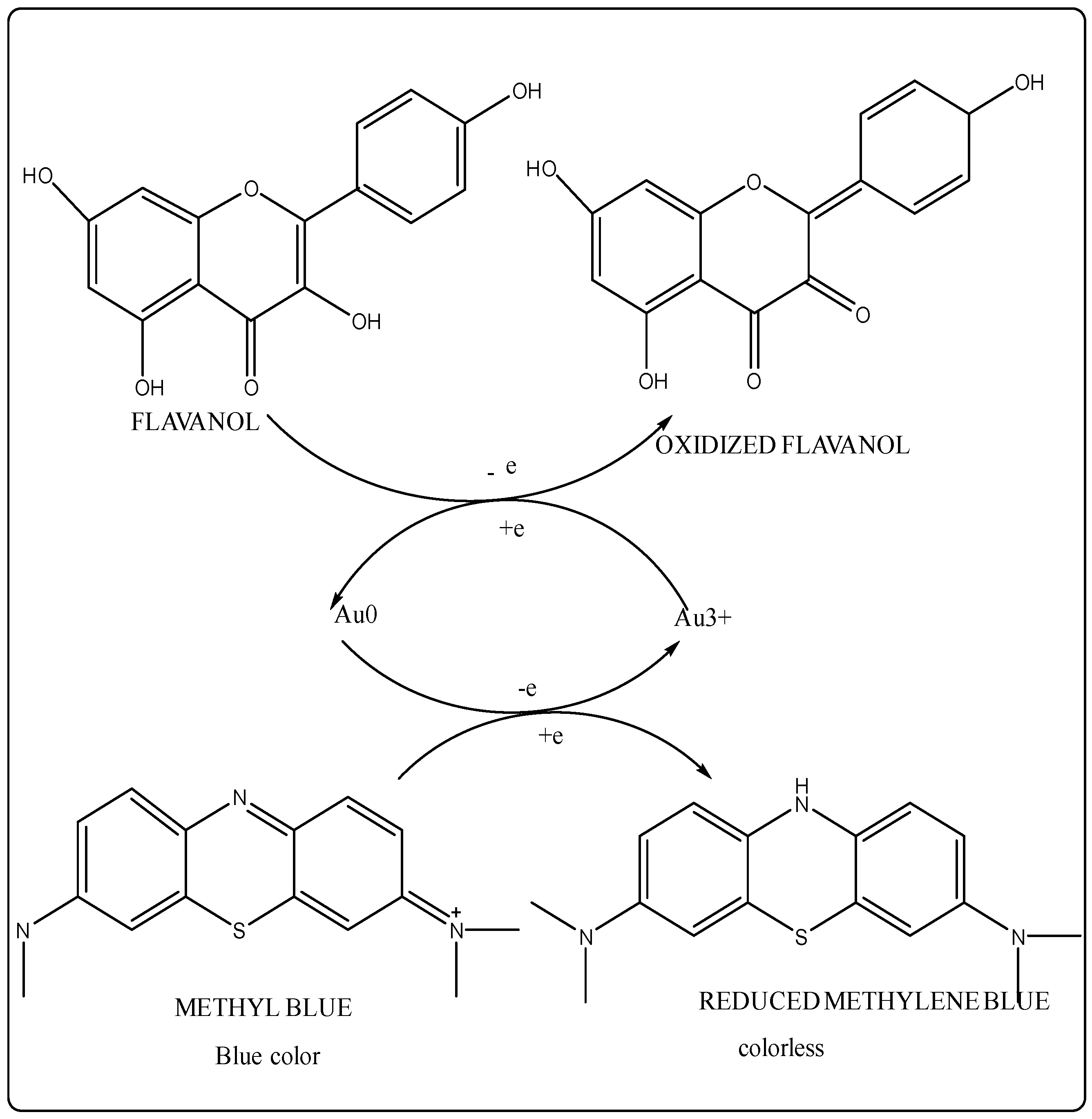 Preprints 99484 g012