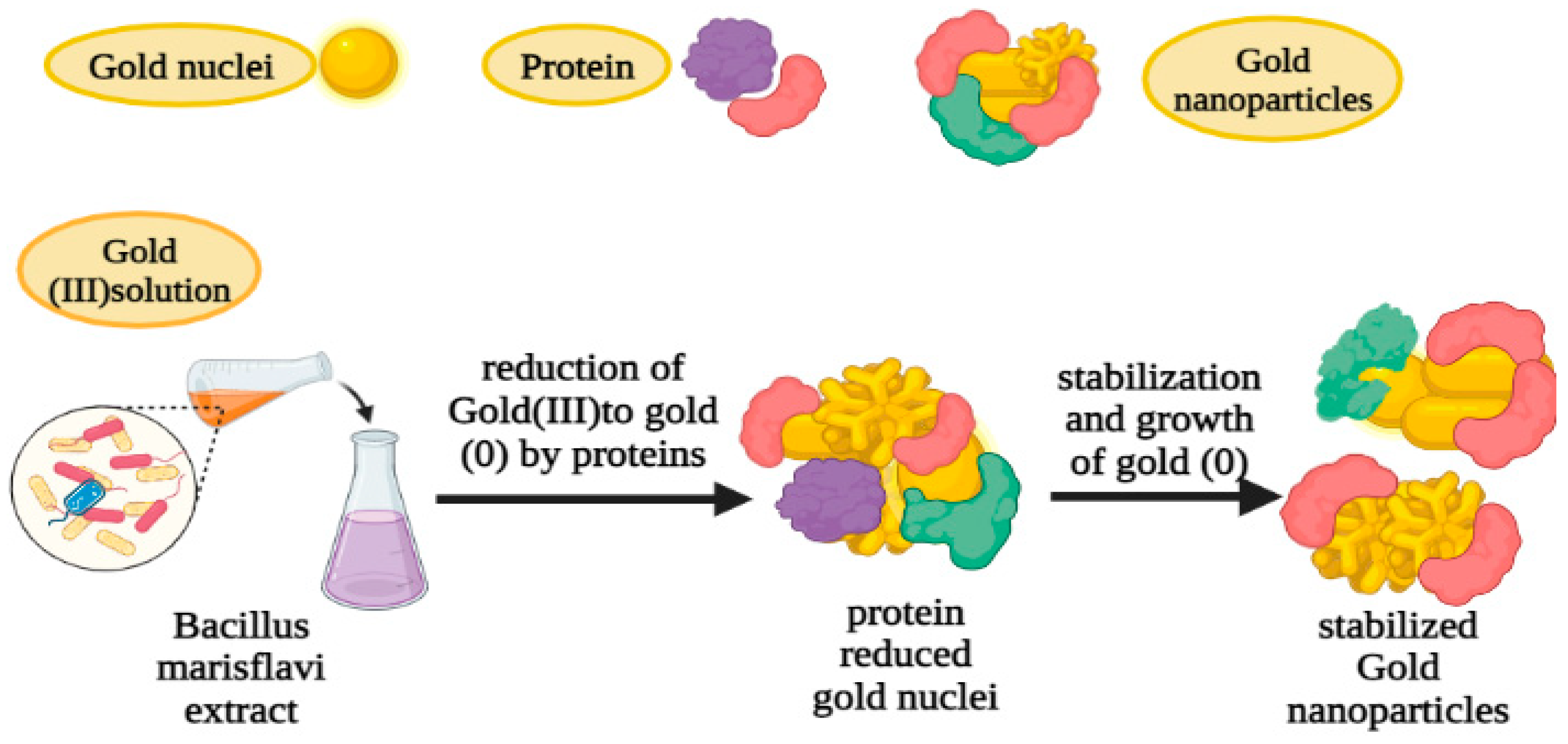 Preprints 99484 g034