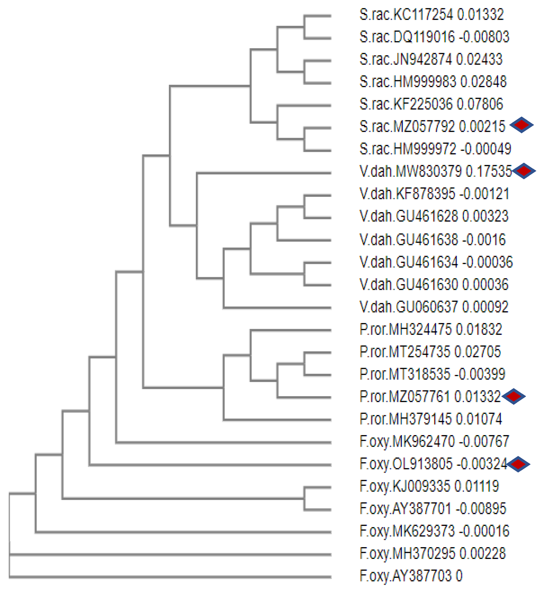 Preprints 71470 g001