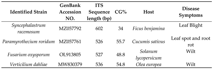 Preprints 71470 i001