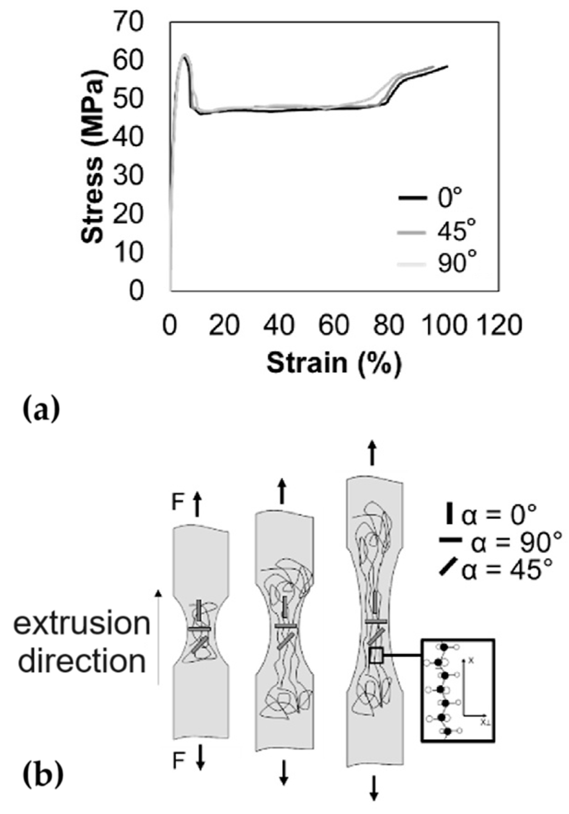 Preprints 119831 g004