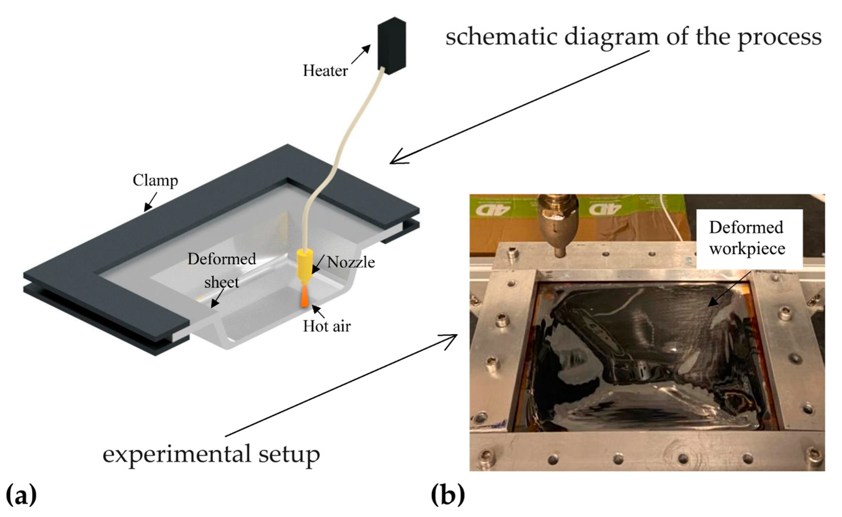 Preprints 119831 g009