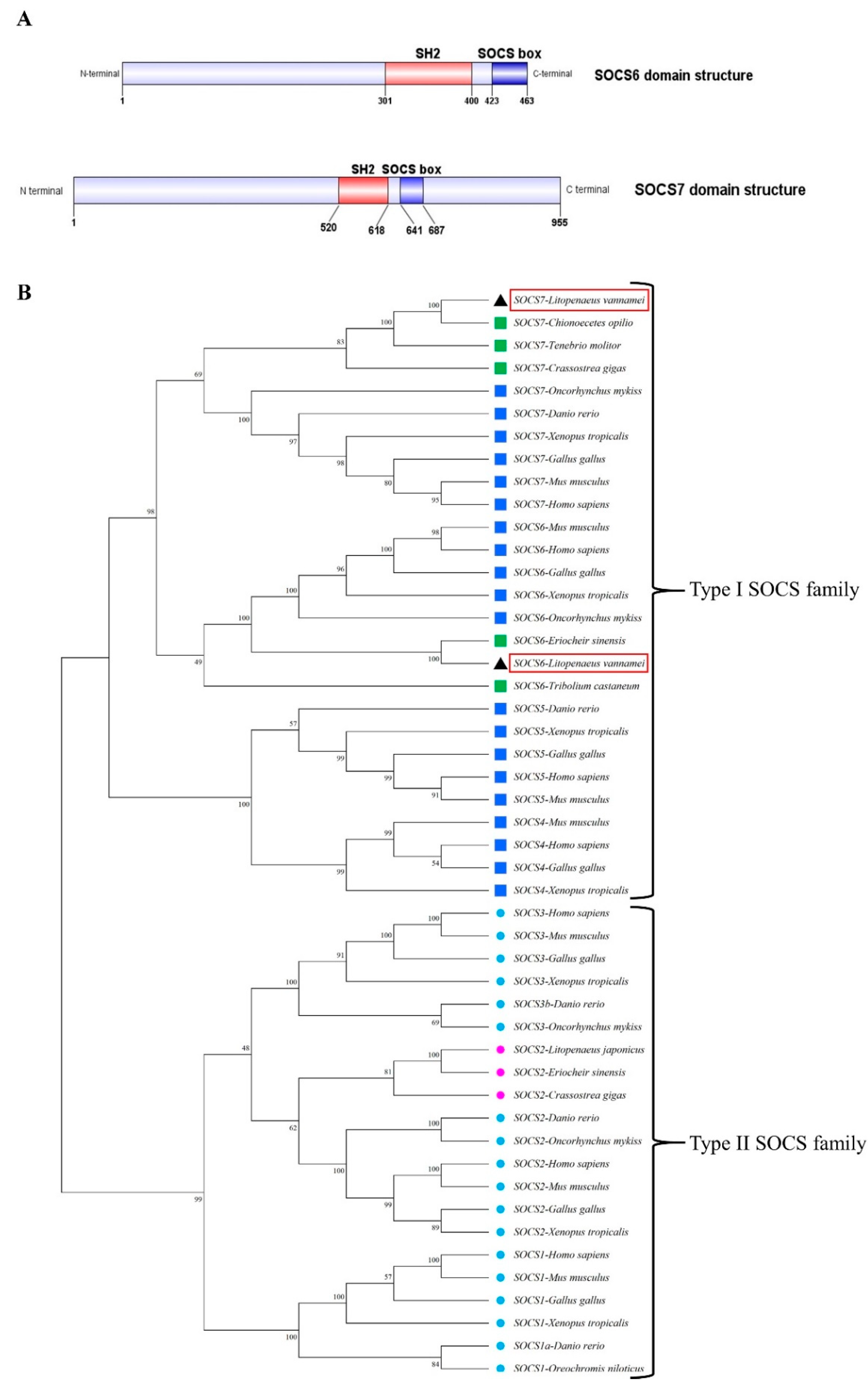 Preprints 80850 g001