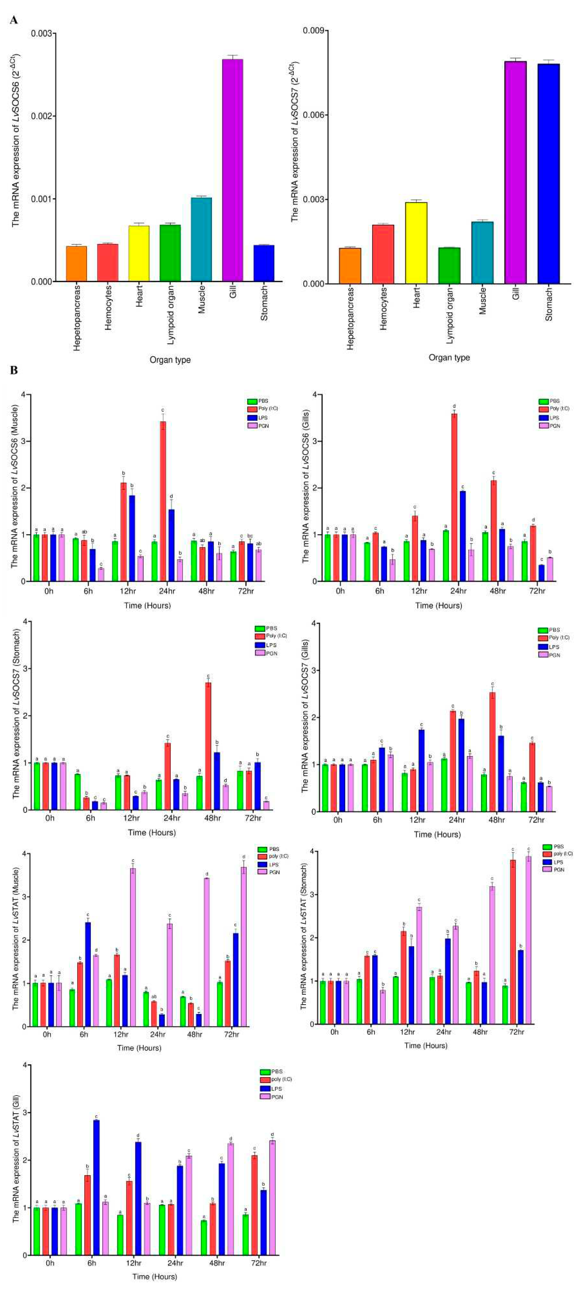 Preprints 80850 g002