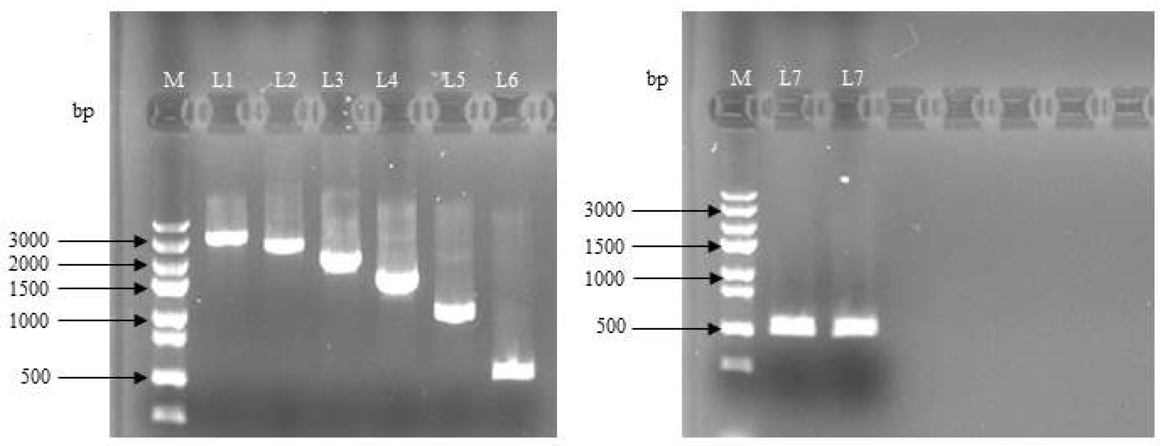 Preprints 70831 g001