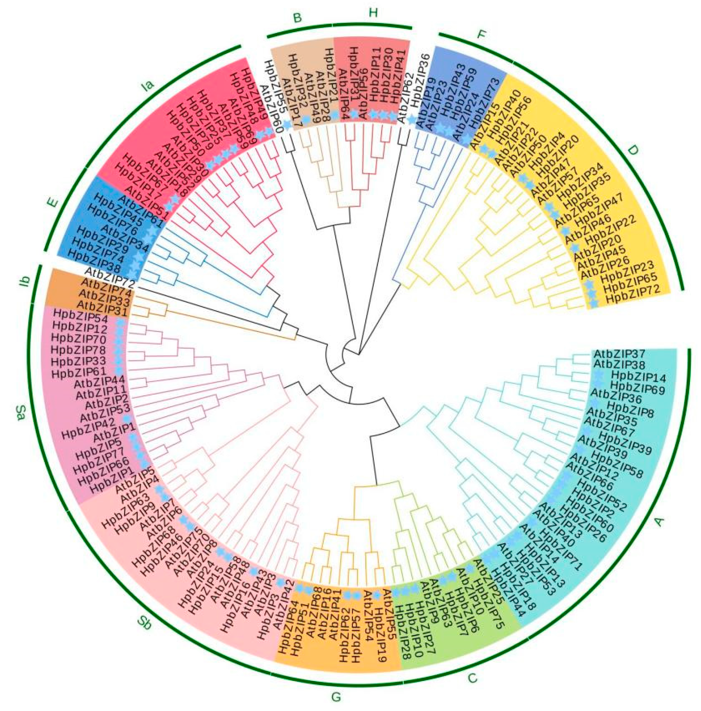 Preprints 80578 g001