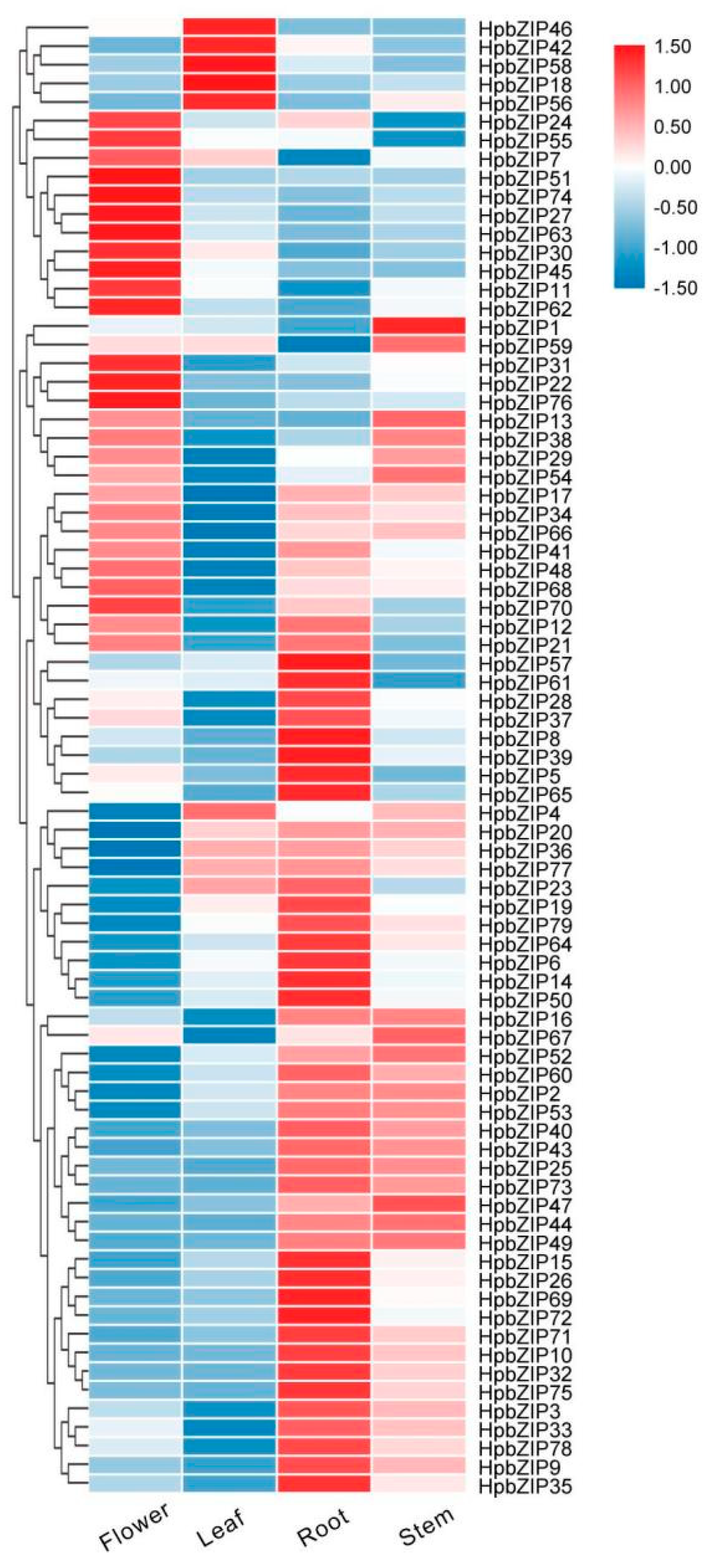 Preprints 80578 g003