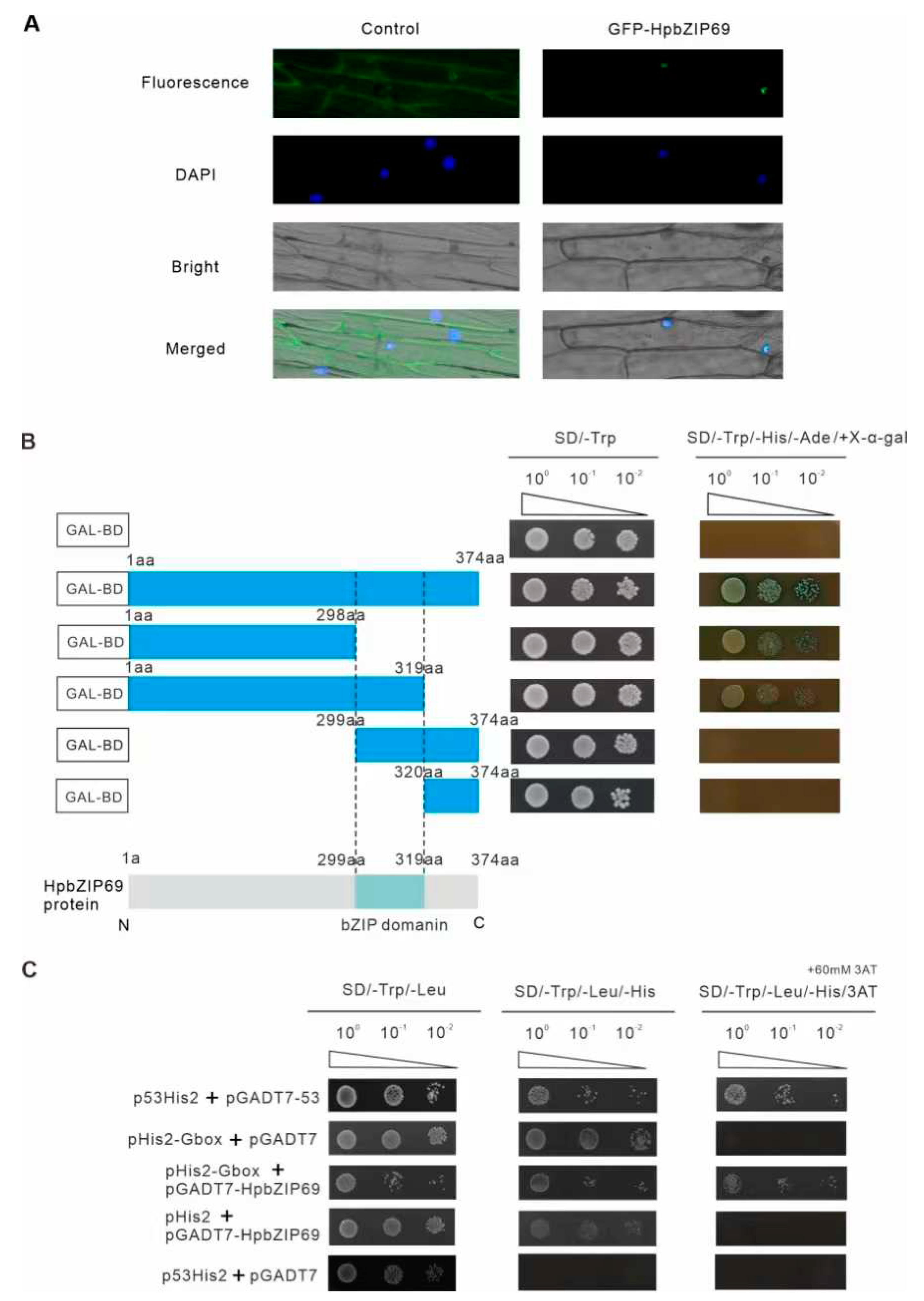 Preprints 80578 g005