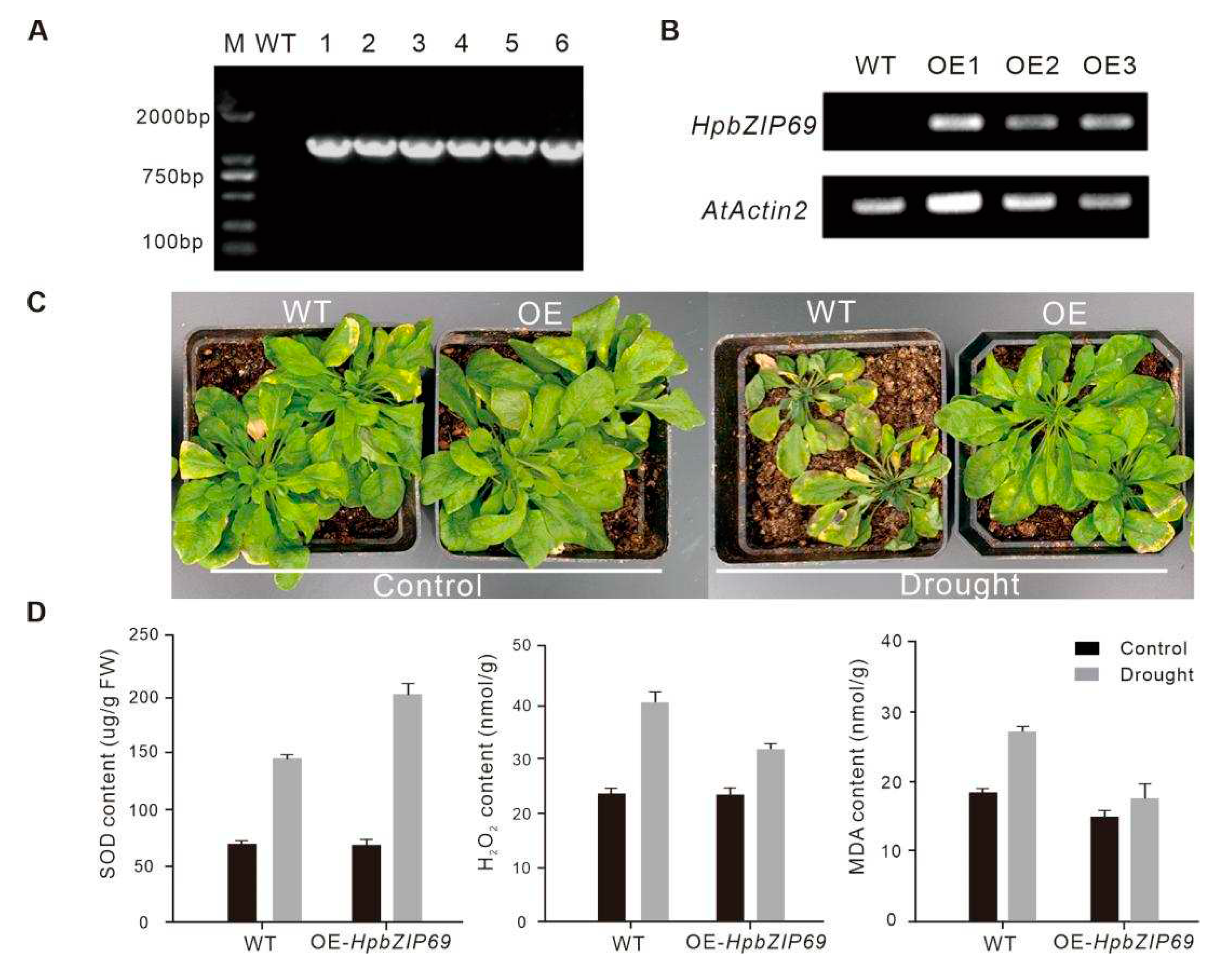 Preprints 80578 g006