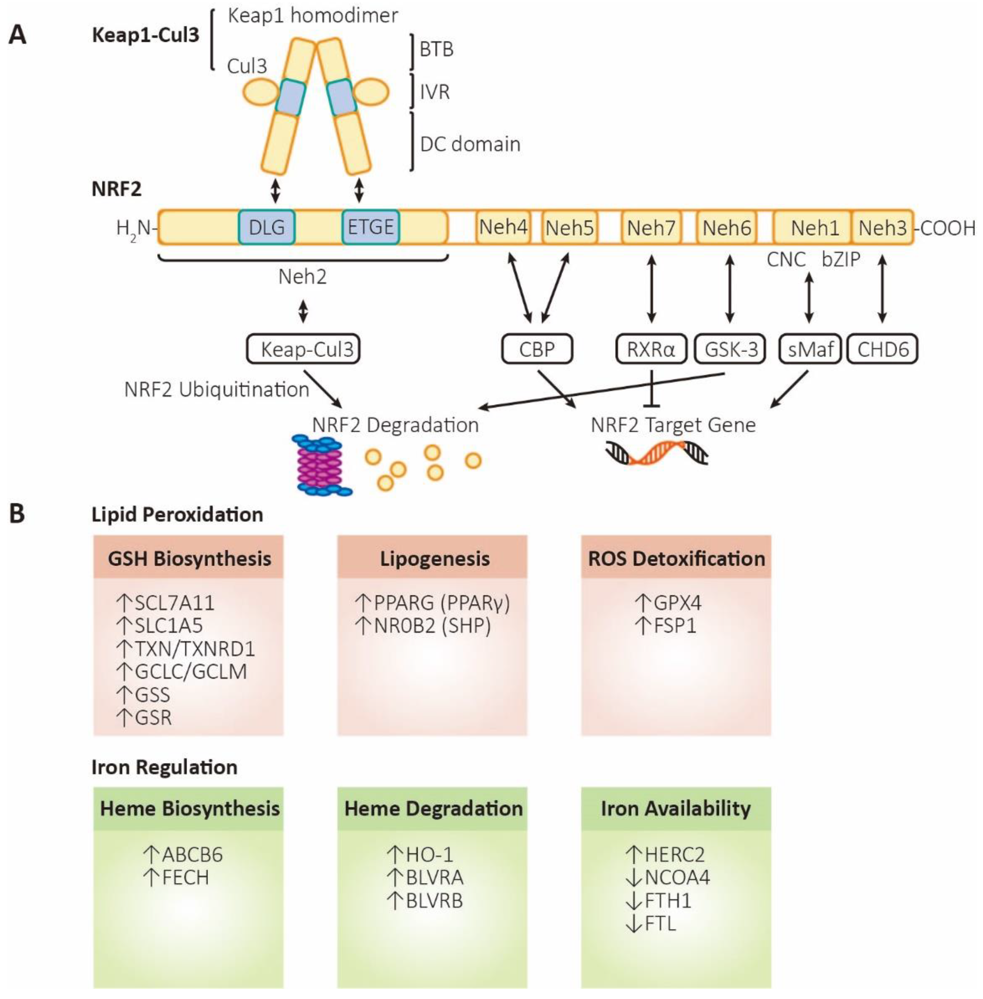 Preprints 82916 g002