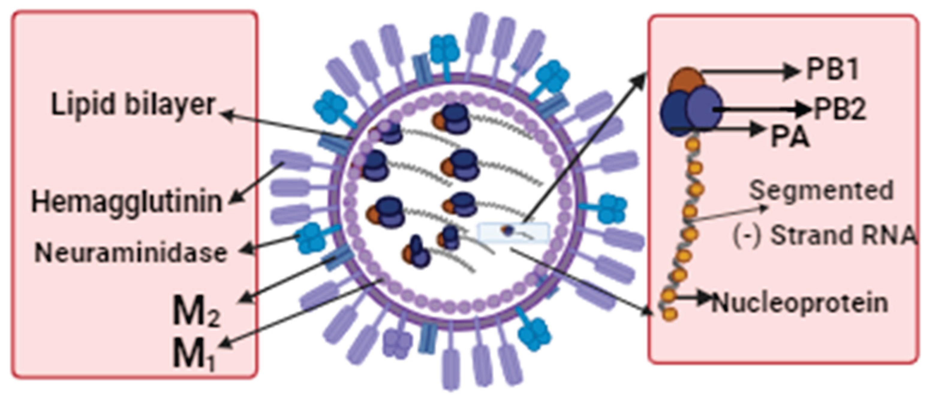 Preprints 103363 g001