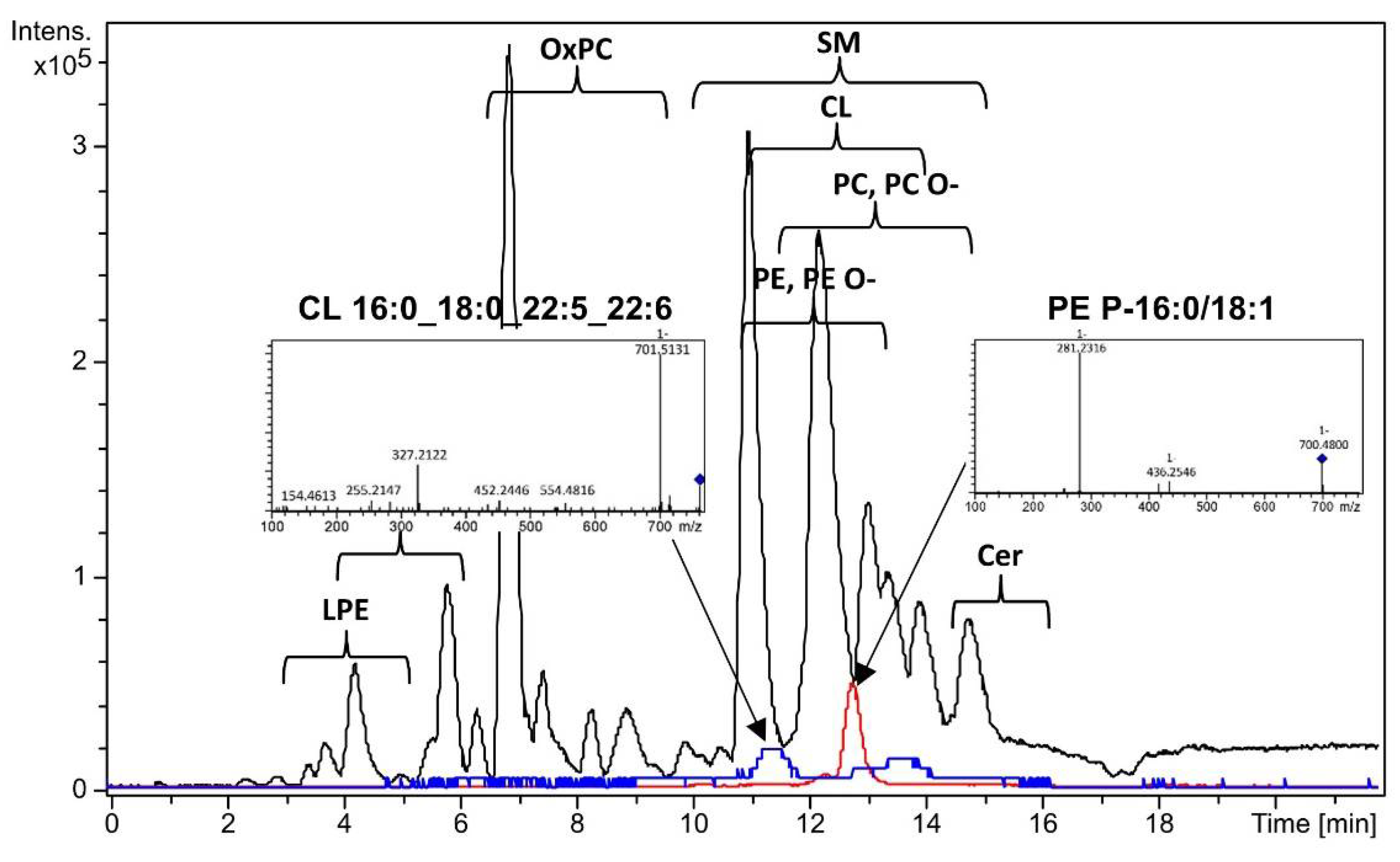 Preprints 106995 g002